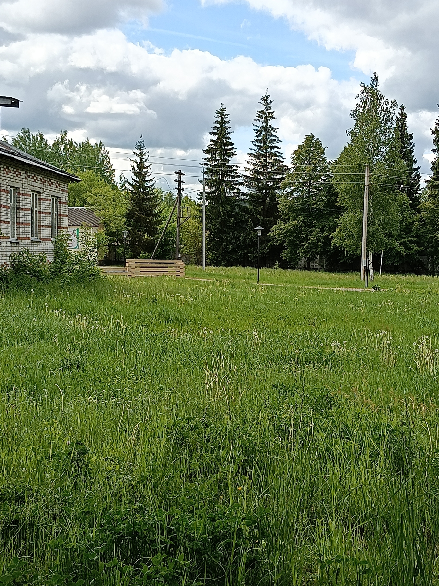 The image presents an outdoor scene, likely in a rural or semi-rural setting within Красный Маяк, Russia, under a bright but cloudy sky. The foreground and much of the midground are covered by an expansive field of tall, unkempt green grass, interspersed with weeds and numerous white dandelion seed heads.
On the left side, a section of a brick building is visible, constructed from light-colored bricks with horizontal dark banding and featuring multiple rectangular windows. Its dark, possibly corrugated, roof is partially seen. Behind this main building, a smaller, lighter-toned structure with a dark roof can be discerned, displaying a faded green and white graphic on its side, though no specific text is legible. In front of these buildings, a low, rectangular stack of light-colored wooden planks or pallets rests on the ground.
In the midground and background, a dense line of trees forms the horizon. These include prominent tall, dark green coniferous trees (likely spruce or fir) and lighter green deciduous trees. Several wooden utility poles are scattered throughout this area, supporting power lines that crisscross the frame. A black, traditional-style streetlight with a horizontal arm stands upright in the midground, to the left of a prominent utility pole. A dirt or gravel path appears to wind through the scene, partially obscured by the tall grass.
The sky above is characterized by large, fluffy white and grey clouds, with patches of clear blue sky visible, indicating daytime, likely during late spring or summer. No people are present, and no particular activity or event is taking place, contributing to a serene and somewhat rustic ambiance.