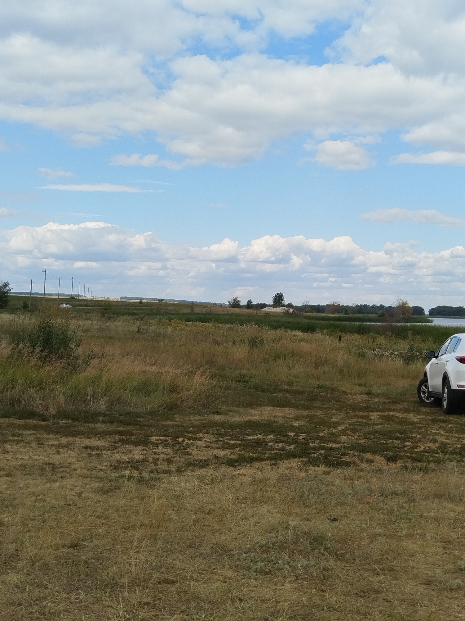 The image captures a wide landscape with a clear blue sky dotted with white, fluffy clouds. In the foreground, dry, brown grass covers the ground, with patches of greener vegetation and some taller, dry stalks. A white SUV is parked on the right side of the frame, partially visible. Beyond the immediate foreground, there is a field of taller, golden grass and scattered green bushes. In the mid-ground, a line of utility poles runs horizontally across the scene, indicating a road or power line. Another white car is visible in the distance near the utility poles. The background features a body of water, likely a river or lake, bordered by a line of trees and more distant vegetation. The overall scene suggests a rural or natural setting. No people are visible in the image. The scene is likely located in the outskirts or countryside of Parfenovka, Russia, given the presence of utility poles and the natural, undeveloped landscape.