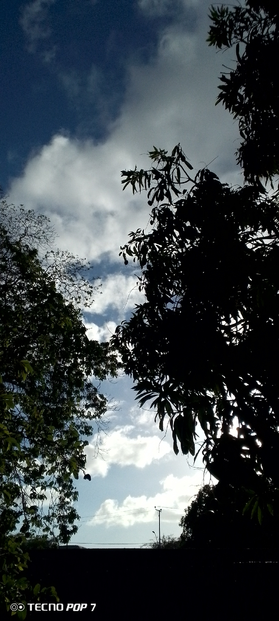 The image captures a sky view with silhouetted trees in the foreground. On the left, a tree with dense green foliage is visible, while on the right, a tree with larger leaves and hanging fruits is silhouetted against the sky. The sky is a mix of deep blue and white clouds, indicating a bright day. In the background, a dark, horizontal structure, possibly a wall or roof, stretches across the frame. Beyond that, a utility pole with wires is visible, and further back, more trees and vegetation are silhouetted against the sky. The bottom left corner of the image displays a watermark that reads "TECNO POP 7". The scene appears to be an outdoor setting, likely in a city, given the presence of the utility pole and the organized background structures, and considering Altagracia, Venezuela, the environment could be a residential or natural area within the city.