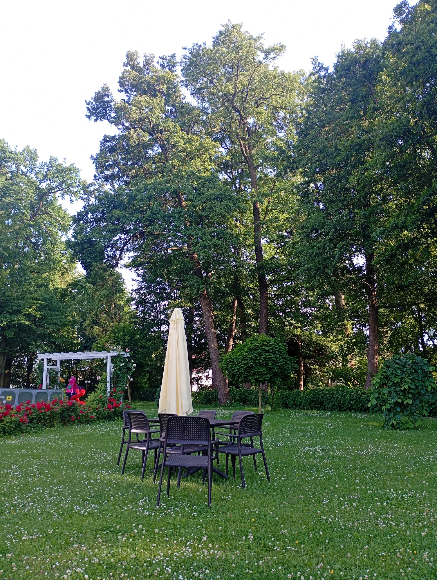 The image shows an outdoor seating area in a park-like setting. In the foreground, a dark-colored table and four chairs are set on a lush green lawn dotted with small white flowers. A tall, cream-colored umbrella stands folded nearby. In the middle ground, a white pergola-like structure is visible, adorned with red roses and climbing greenery. Behind the pergola, a splash of bright pink is seen, suggesting a playground element or decorative feature, possibly with a person in red. The background is dominated by a dense arrangement of mature trees with full, green foliage, creating a natural, shaded atmosphere. The lighting suggests it is daytime, with sunlight filtering through the leaves. This scene appears to be a tranquil outdoor relaxation or dining area within the city of Międzyrzecz, Poland, likely part of a garden, restaurant, or public park.