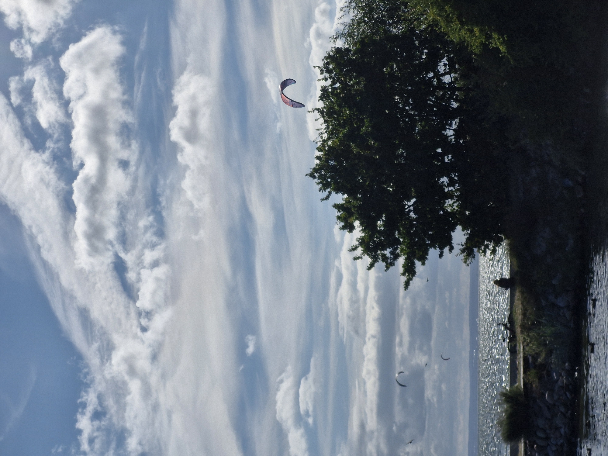 The image shows a cloudy sky over a body of water. In the foreground, there is a shore with rocks and vegetation. Several people are visible on the shore, as well as a bicycle. In the water, there are some ducks. In the sky, there are several kites, including one large, multi-colored kite. The scene appears to be a beach or a waterfront area in Jastarnia, Poland.