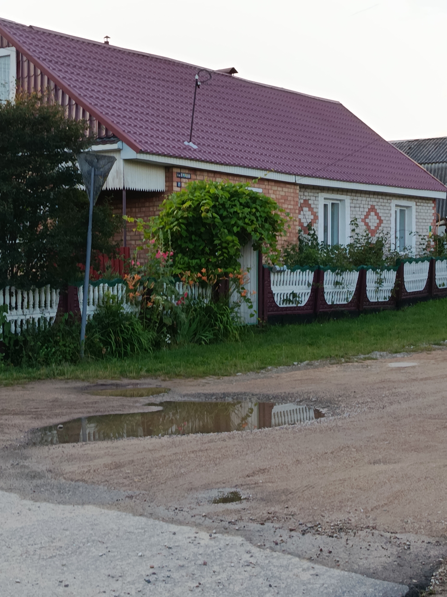 The image depicts a rural scene in Smaliavitski Sel'ski Savet, Belarus. A modest brick and white painted house with a burgundy metal roof dominates the background. The house has several windows and is partially obscured by lush green foliage. In front of the house, there is a white picket fence interspersed with decorative brown sections, and the fence is further softened by flowering plants. A dirt road with puddles of water is in the foreground, reflecting the fence and greenery. A triangular signpost stands to the left of the house. The overall impression is of a quiet, well-maintained rural dwelling surrounded by nature.