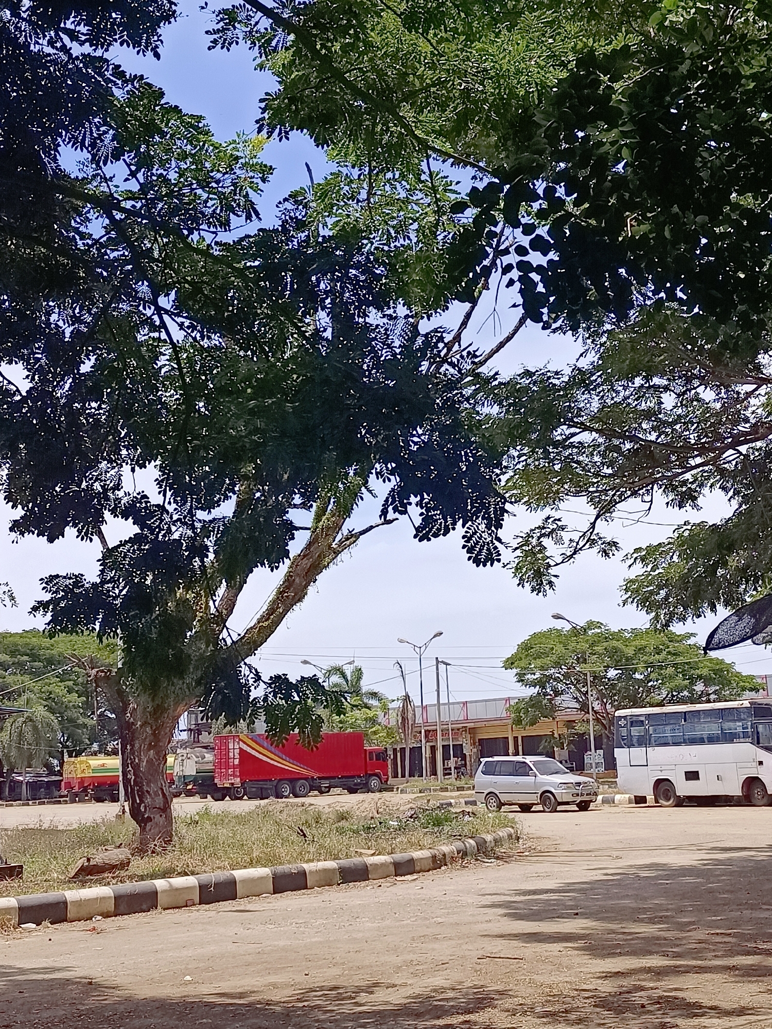 The image depicts an outdoor scene, likely in Meunasah Pupu, Indonesia, featuring a large tree with dense foliage in the foreground, partially obscuring the view of a road and several vehicles. The sky is visible through the branches. On the road, there are two trucks, one red with yellow and red stripes and another that appears to be a tanker truck. A white SUV is parked to the right of the trucks, and a white bus is parked further to the right. In the background, there are buildings and more trees. The ground is a dirt or gravel surface, with a curb lined with black and white painted blocks separating it from a grassy area. The lighting suggests it is daytime, with shadows cast on the ground from the trees.