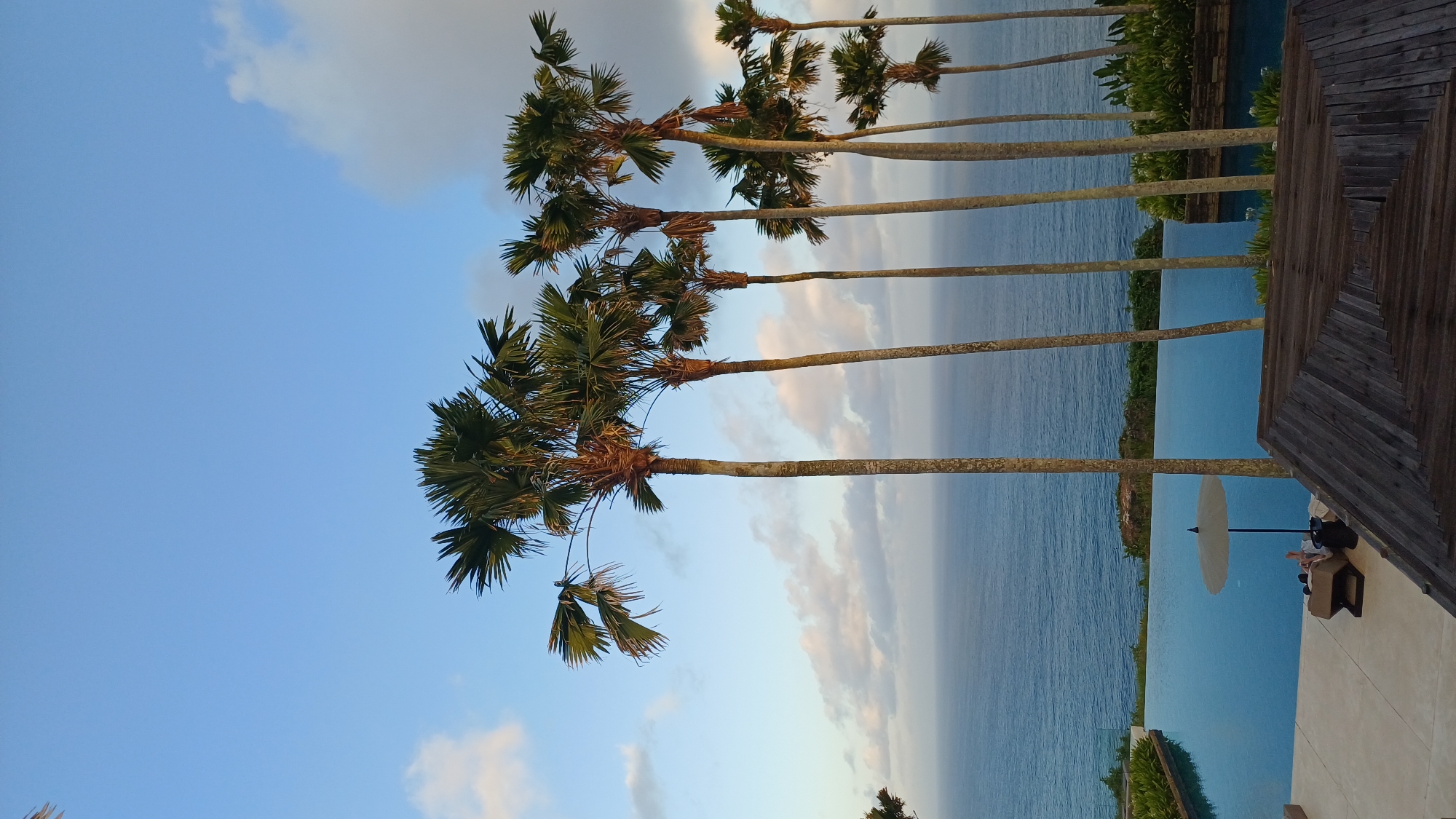 The image depicts a scenic view in Kuta Selatan, Indonesia. Tall palm trees line the edge of what appears to be an infinity pool, which blends seamlessly with the ocean in the background. The sky is blue with scattered clouds, suggesting either early morning or late afternoon light. A wooden structure, possibly part of a building or patio, is visible in the foreground. The pool area includes a sun umbrella and what looks like a lounge chair with a person lying on it. The scene presents a tranquil and luxurious tropical resort environment.