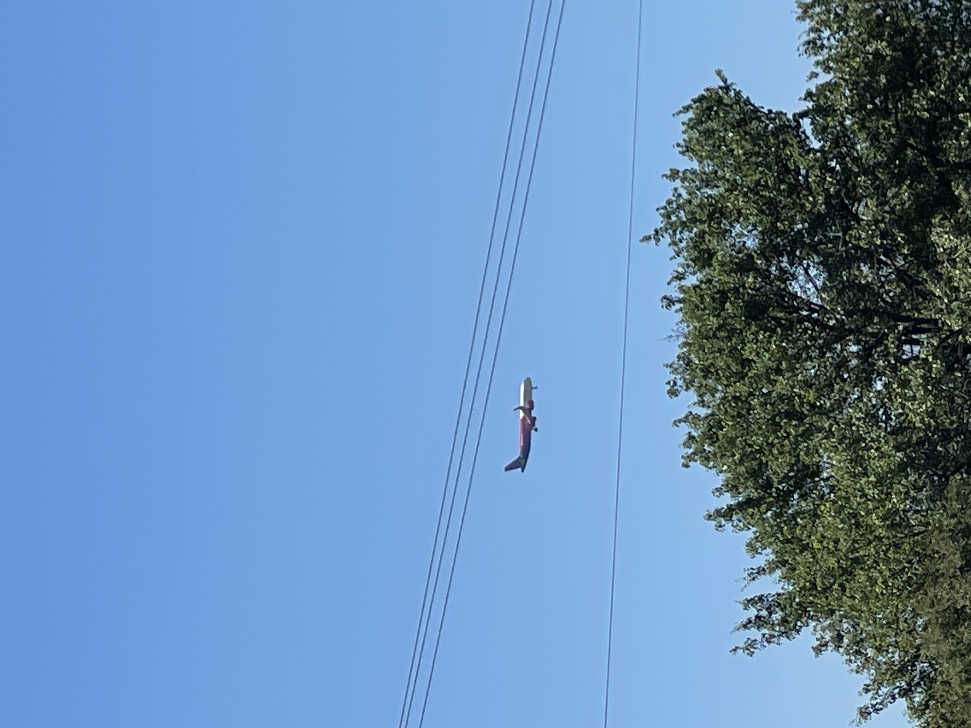 A red and white model airplane is stuck on overhead power lines in Gorni Bogrov, Bulgaria. A tree with green foliage is to the right. The sky is blue.