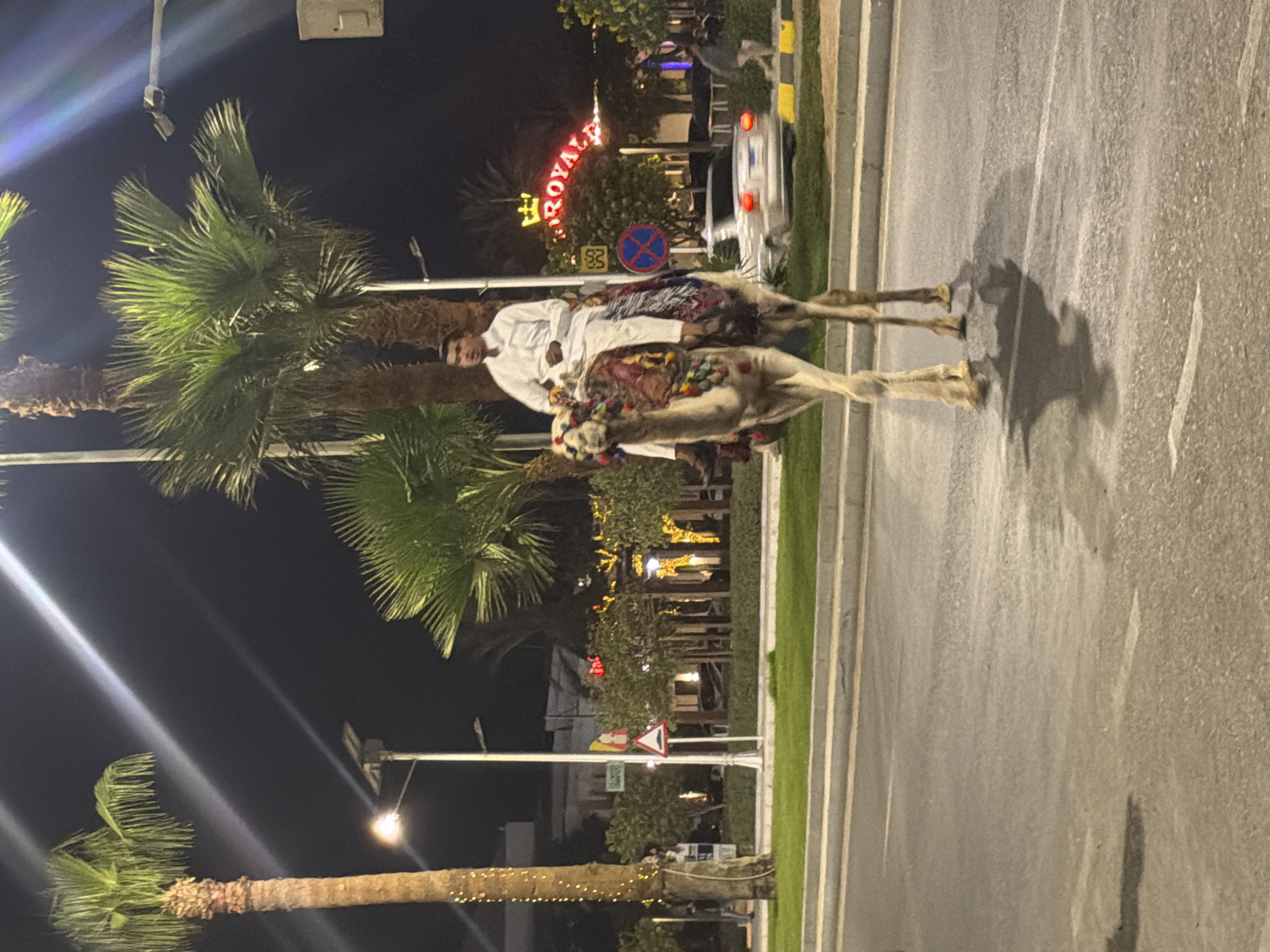 A man wearing a white thobe and head covering rides a camel down a paved road at night. The camel is decorated with a colorful saddle blanket. Palm trees are visible on the left and right sides of the image. A neon sign reading "ROYALE" with a crown is visible in the background. Other structures and lights are also present, suggesting an urban environment. A car is seen driving in the background. The scene appears to be in Sharm El Sheikh, Egypt, likely in a tourist area given the camel ride and the prominent signage.