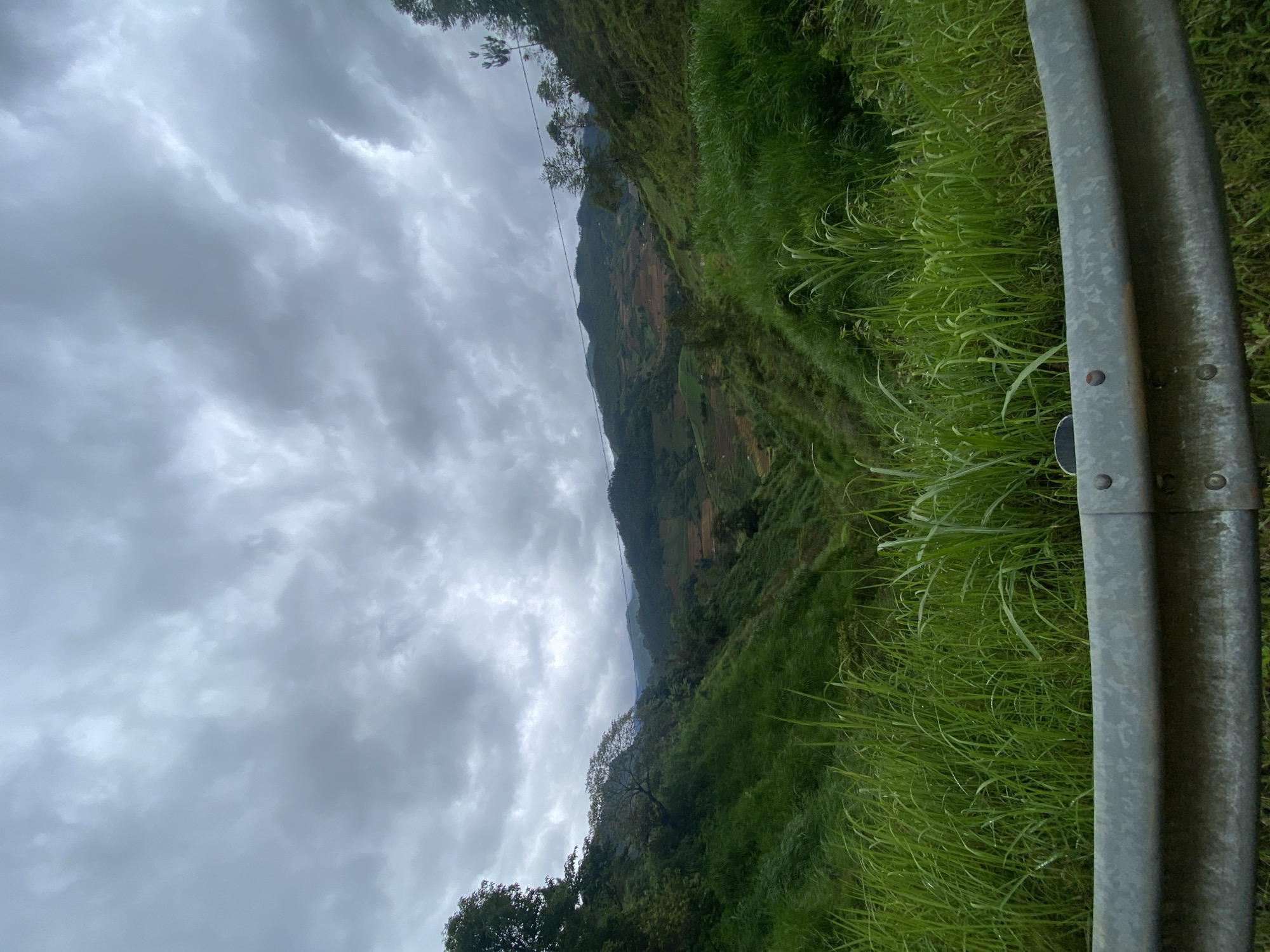 The image displays a vast, verdant mountain valley in Mù Cang Chải, Vietnam, under a heavily overcast, grey sky. A weathered, silver-grey metal guardrail with visible rivets and seams occupies the bottom portion of the foreground, extending horizontally across the frame. Immediately behind the guardrail and ascending the slopes is a dense expanse of tall, vibrant green grass and other foliage. The middle ground and background feature multiple layers of rolling hills and mountains, all densely covered in lush green vegetation and trees. On the distant slopes, distinct terraced fields, appearing in shades of brown and reddish-brown, are visible, indicating extensive agricultural cultivation. Faint, dark lines, likely power or communication cables, are discernible spanning across the mid-ground against the distant hills. The scene is devoid of any human or animal presence, captured under a diffused, consistent light from the dense cloud cover.