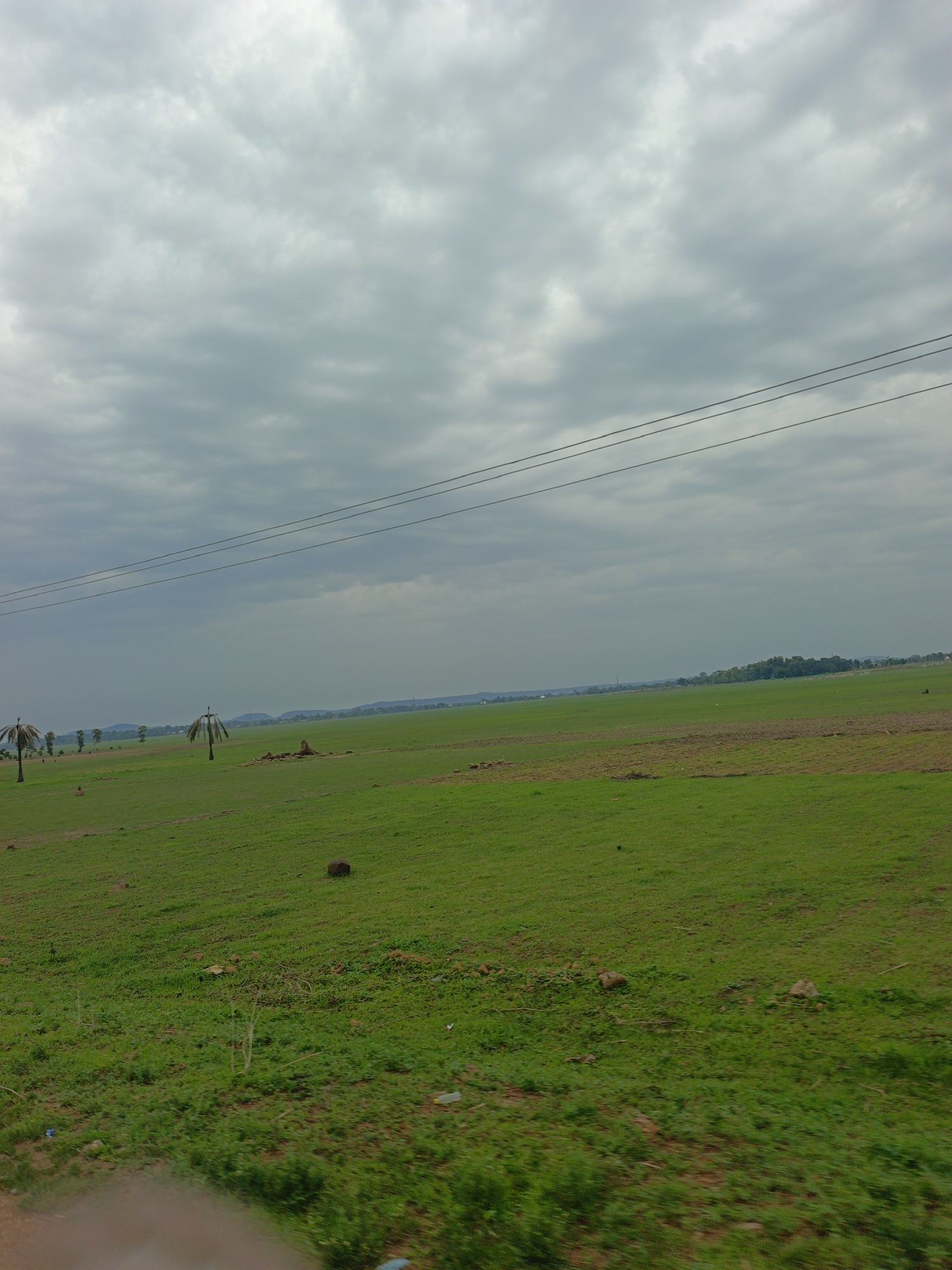 The image shows a landscape of a green field under an overcast sky in Agban, Nigeria. The field is primarily covered in grass, with patches of darker soil visible in the distance. There are a few scattered trees, some of which appear to be palm trees. A few rocks are also scattered on the field. Electrical wires stretch across the top of the image. In the background, a line of trees and low hills is visible on the horizon. The lower portion of the image shows blurry vegetation, possibly indicating movement during the capture. The image appears to be taken from a moving vehicle.