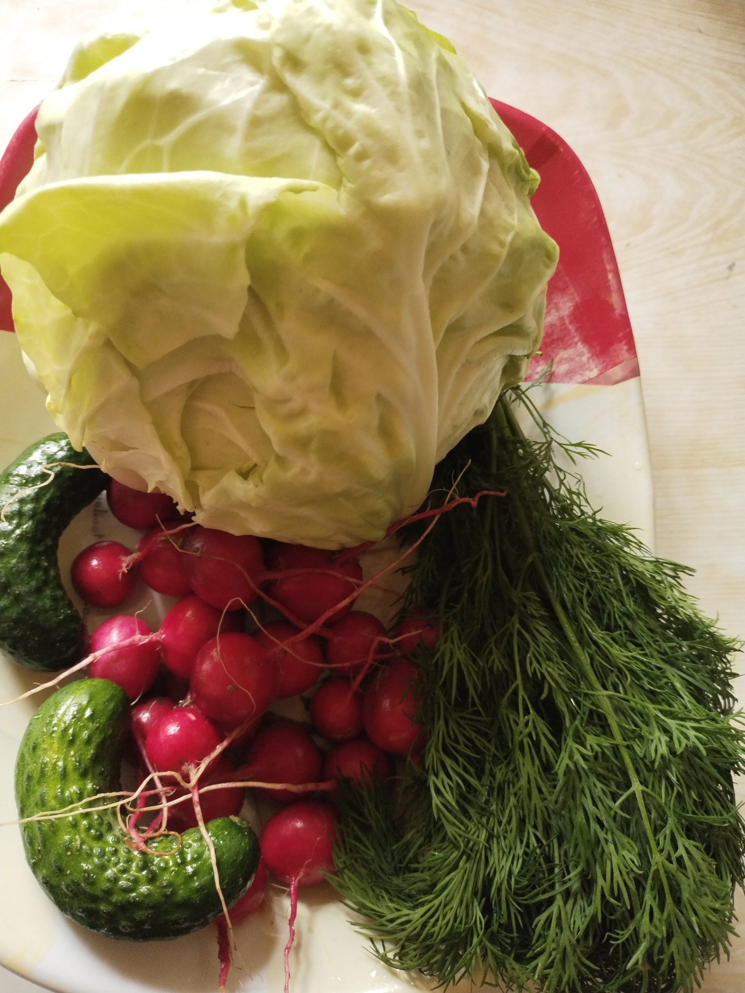 The image displays a static arrangement of fresh produce. A light-green head of cabbage occupies the upper portion, exhibiting visible leaf veins and a slightly unfurled appearance. Below and to the left of the cabbage are two green, textured cucumbers. A cluster of numerous red radishes, each with small root filaments, is positioned centrally below the cabbage and between the cucumbers. A dense bunch of dark green dill with fine, feathery leaves is situated on the right side of the frame, partially overlapping the radishes. All items rest on a light-colored, possibly white or cream-colored, plate or tray, which features a distinct red edge visible along its upper and right sides. This plate is situated on a light-toned surface, potentially wood, characterized by subtle grain patterns visible in the background, particularly on the right. No human subjects or specific actions are depicted. The scene suggests an indoor environment. The geographic location, specifically the city of Horishni Plavni, Ukraine, cannot be determined from the visual content of the image.