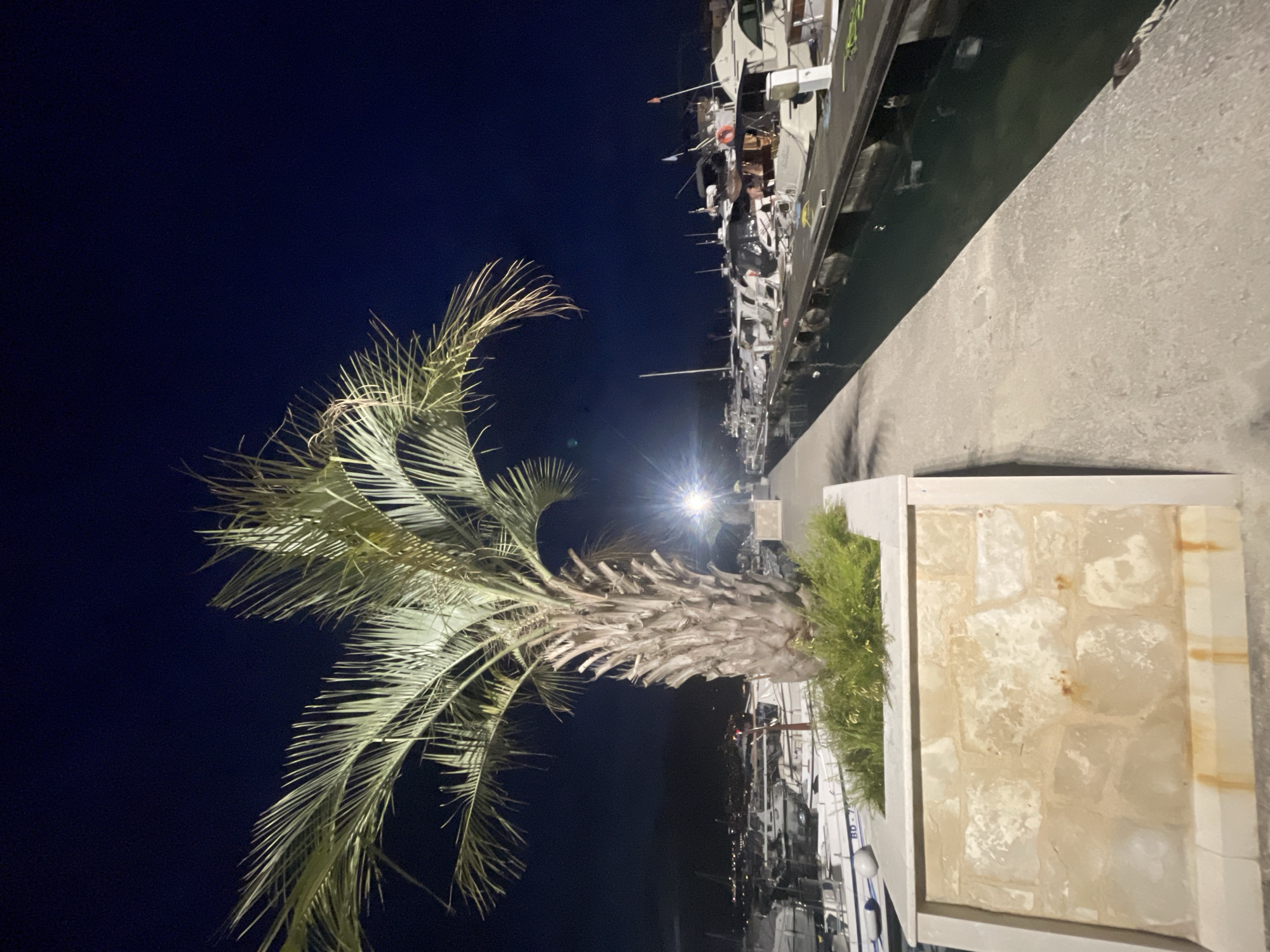 A nighttime photograph captures a marina scene. A large palm tree with a thick, textured trunk and vibrant green fronds dominates the left-center of the frame, planted within a rectangular planter constructed from light-colored, irregularly shaped stone blocks. Green foliage grows around the base of the palm tree inside the planter. A light-colored concrete walkway extends from the foreground towards the background, running parallel to the right side of the planter and bordering a dark body of water. Numerous white boats and yachts are moored along a floating dock system in the water to the right of the walkway. A bright, unshielded artificial light source is visible on the right side of the image, producing a strong lens flare and illuminating parts of the palm tree and the dock area. Distant, indistinct city lights are visible along the far-left horizon. The sky is dark. No people are present in the scene, which is identified as a marina in an unknown city.