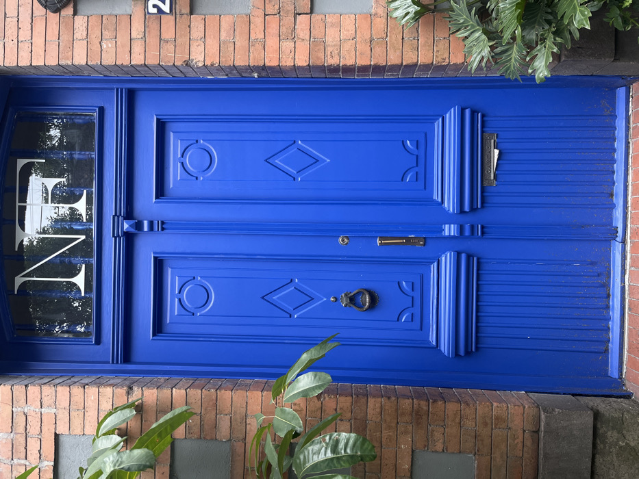 The image presents a vibrant royal blue double-door, serving as the central feature of a building facade in Mexico City, Mexico. Each door leaf is intricately carved with two upper recessed panels, featuring circular and diamond-shaped reliefs. Below these, the doors have fluted lower sections topped with horizontal moldings. The left door is equipped with a dark, decorative metal door knocker shaped like an animal head with a ring. The right door features a vertically oriented brass-colored pull handle and a keyhole; beneath it, a rectangular mail slot, partially open with a white paper visible, is inscribed with "CARTAS" above. An arched transom window above the doors prominently displays the large white capital letters "NF". The doors are flanked by columns of reddish-brown brick set with grey mortar, which rest on dark grey stone or concrete bases. To the immediate right of the door, a partial house number, "24", is visible against a grey background, and lush green foliage with large, deeply lobed leaves emerges from the lower right. On the left, large, waxy green leaves of another plant extend into the frame, partially obscuring the brick column and the door. The base of the doors rests on a reddish-brown tiled or brick threshold. No individuals are present in the scene.