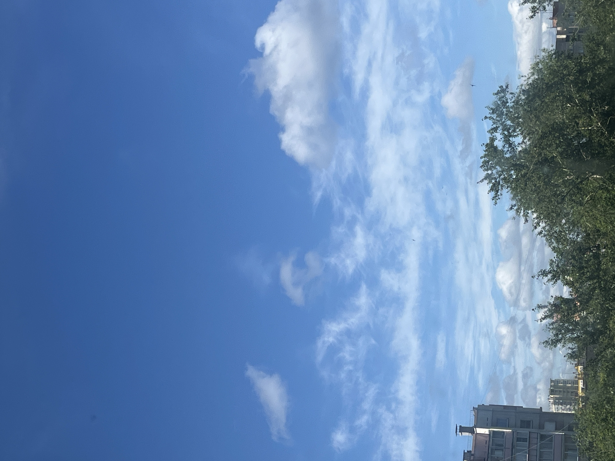 This image is a vertical shot of a blue sky with scattered clouds. In the lower left corner, a portion of a tall, pink-hued residential building is visible, featuring multiple windows and a chimney. To the right of this building, trees with dense green foliage dominate the foreground, extending across the bottom half of the frame. In the background, beyond the trees and the pink building, more residential buildings of varying heights and architectural styles can be seen. Several small birds are depicted in flight against the sky. The scene suggests an urban environment with a mix of architecture and greenery under a partly cloudy sky, consistent with a view from an apartment or elevated position in Chelyabinsk, Russia.