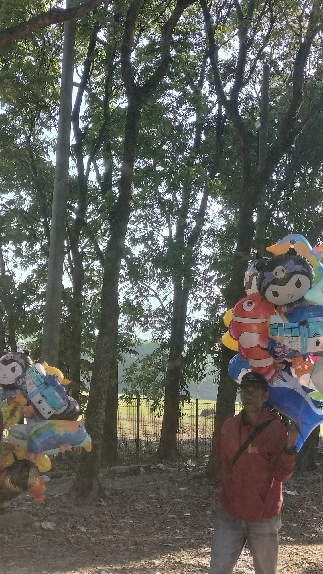 A man stands in a wooded area, holding a cluster of balloons. The balloons are colorful and depict various characters, including a fish, a cartoon character with a skull bow, and a blue vehicle. The man is wearing a red hoodie and blue jeans. In the background, there are tall trees, a fence, and a grassy field. The ground is covered in fallen leaves and debris. The scene appears to be a park or a roadside selling balloons.