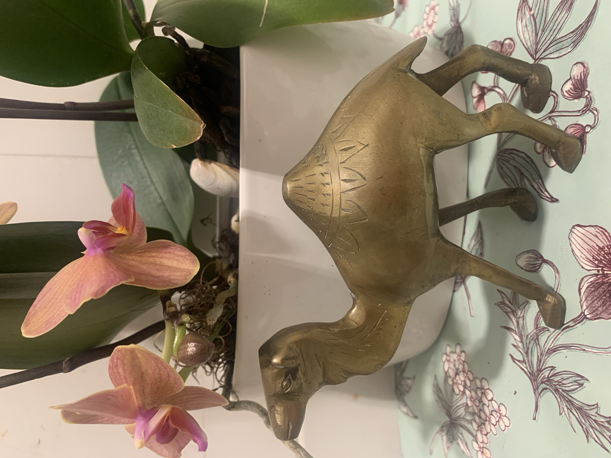The image shows a brass camel figurine placed in front of a white pot containing an orchid plant with pink and orange flowers and green leaves. The figurine is positioned on a light blue surface with a floral pattern in shades of pink and dark red. In the background, parts of the white pot and the orchid plant are visible. The lighting appears to be natural. There are no people present in the image. The scene is indoors and does not provide any specific indicators of its location in Lisbon, Portugal.