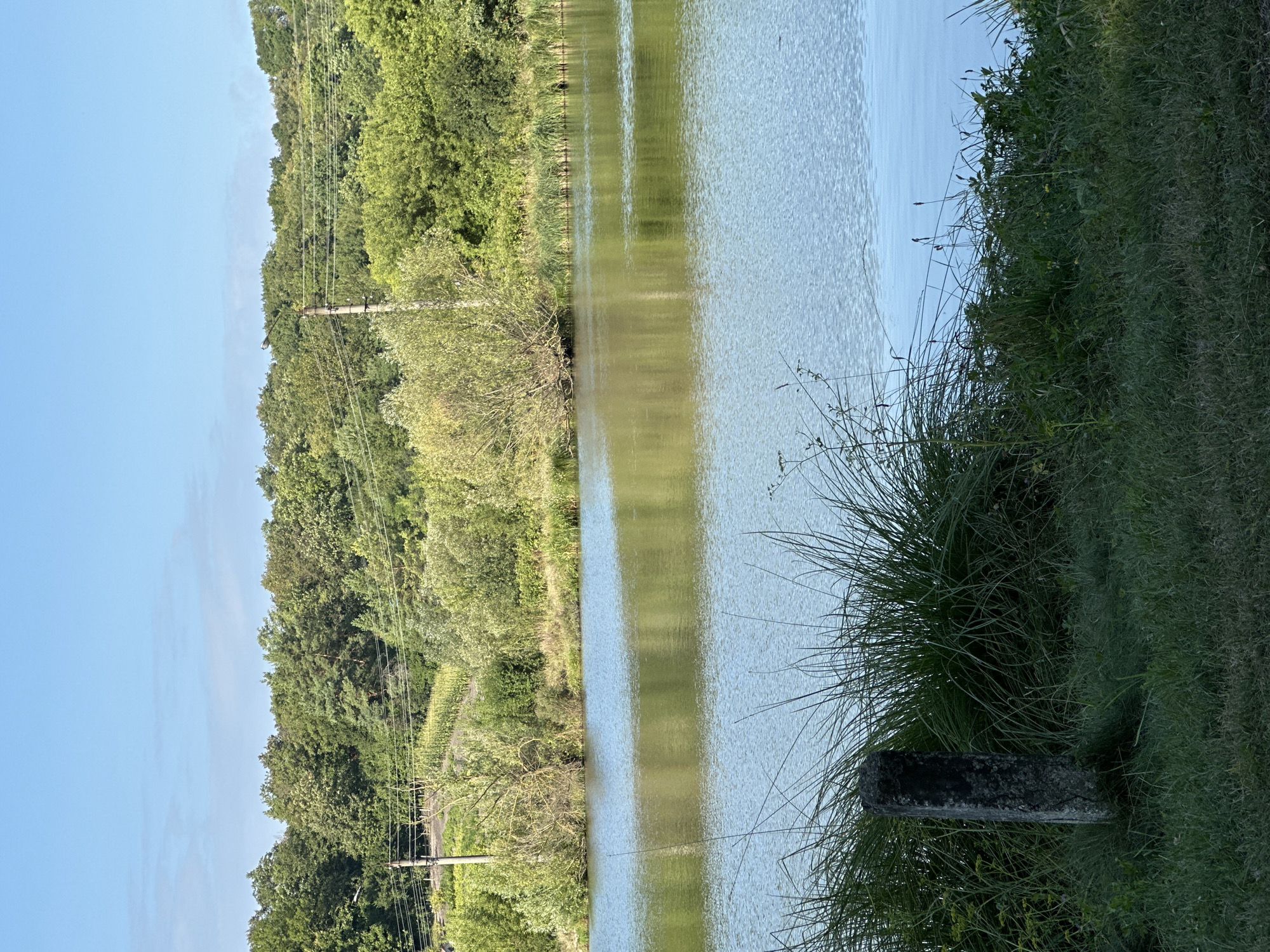 The image depicts a tranquil body of water, likely a pond or small lake, surrounded by lush greenery under a clear blue sky. In the foreground, on the left side of the frame, a weathered, rectangular concrete post stands amidst tall, green grasses. The water surface is calm, reflecting the surrounding trees and sky. A dense line of trees forms the backdrop, with a mix of deciduous and coniferous varieties. In the distance, power lines are visible, stretching across the landscape, supported by utility poles. The scene suggests a natural setting, possibly a park or rural area on the outskirts of the city of Makiv, Ukraine.