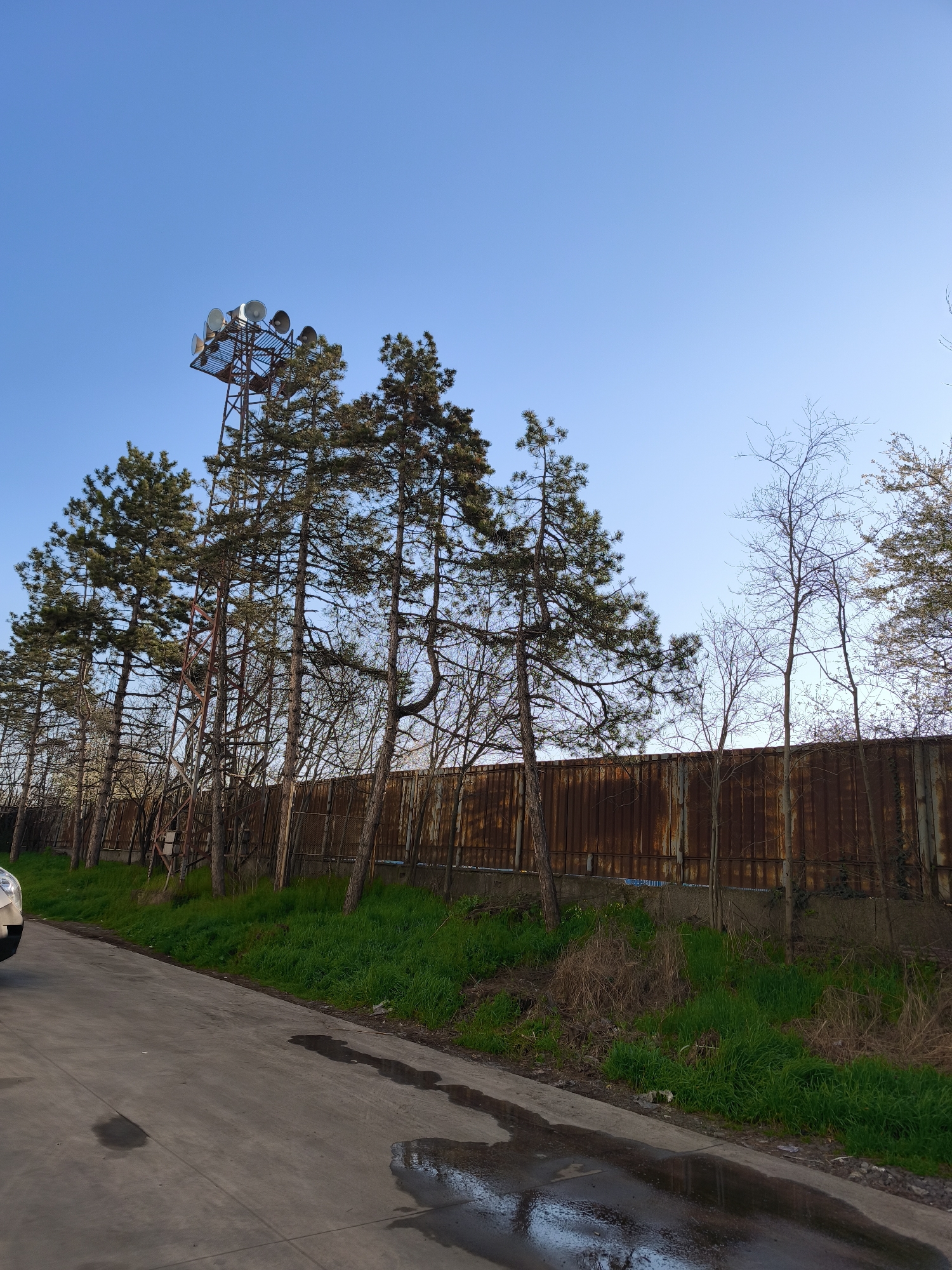 The image depicts a street in Burgas, Bulgaria, featuring a gray concrete road with scattered puddles in the foreground. To the left, a partial view of a white vehicle is visible. Along the road's edge grows a strip of green grass interspersed with brown, dry vegetation. Behind this grass, a rusty, corrugated metal fence stands, bordered by trees. Primarily, these are pine trees, some with visible ladders attached to their trunks, and a few bare deciduous trees. Towering behind the pine trees is a metal communications tower equipped with multiple loudspeaker-like devices at the top. The background is a clear, light blue sky.