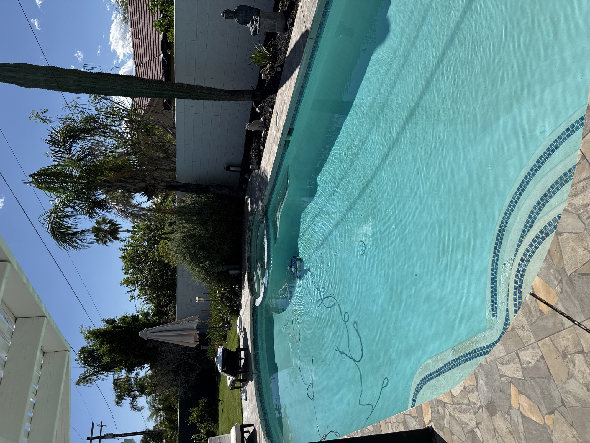 The image shows a residential swimming pool in Palm Springs, California, USA. The pool is filled with clear blue water, and a robotic pool cleaner is visible inside. The pool's edge is decorated with blue mosaic tiles. Surrounding the pool is a stone patio. The background includes a variety of plants and trees, a tall cactus, and a white brick wall. A garden statue stands near the wall. The sky is bright blue with a few scattered clouds. A partial view of a white-painted building and utility poles are also present.