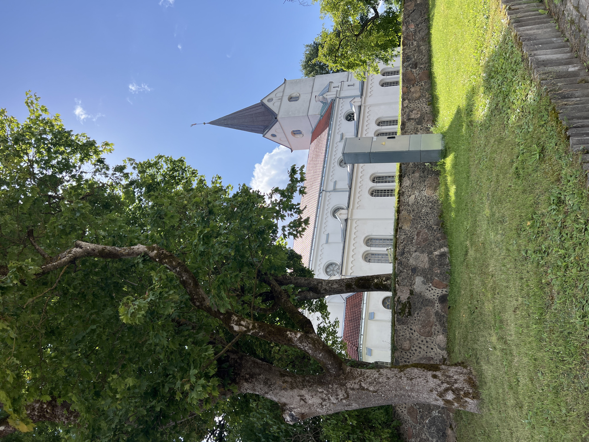 A white church with a tall, dark spire stands on a slight incline behind a stone wall topped with grass. The church has red tile roofing and arched windows along its length. In the foreground, a large tree with a rough, textured trunk and lush green leaves dominates the left side of the frame. The sky is bright blue with scattered white clouds and dappled sunlight filtering through the tree canopy. A grey electrical box stands near the stone wall to the right of the tree. This is the Church of the Holy Trinity in Saldus, Latvia.