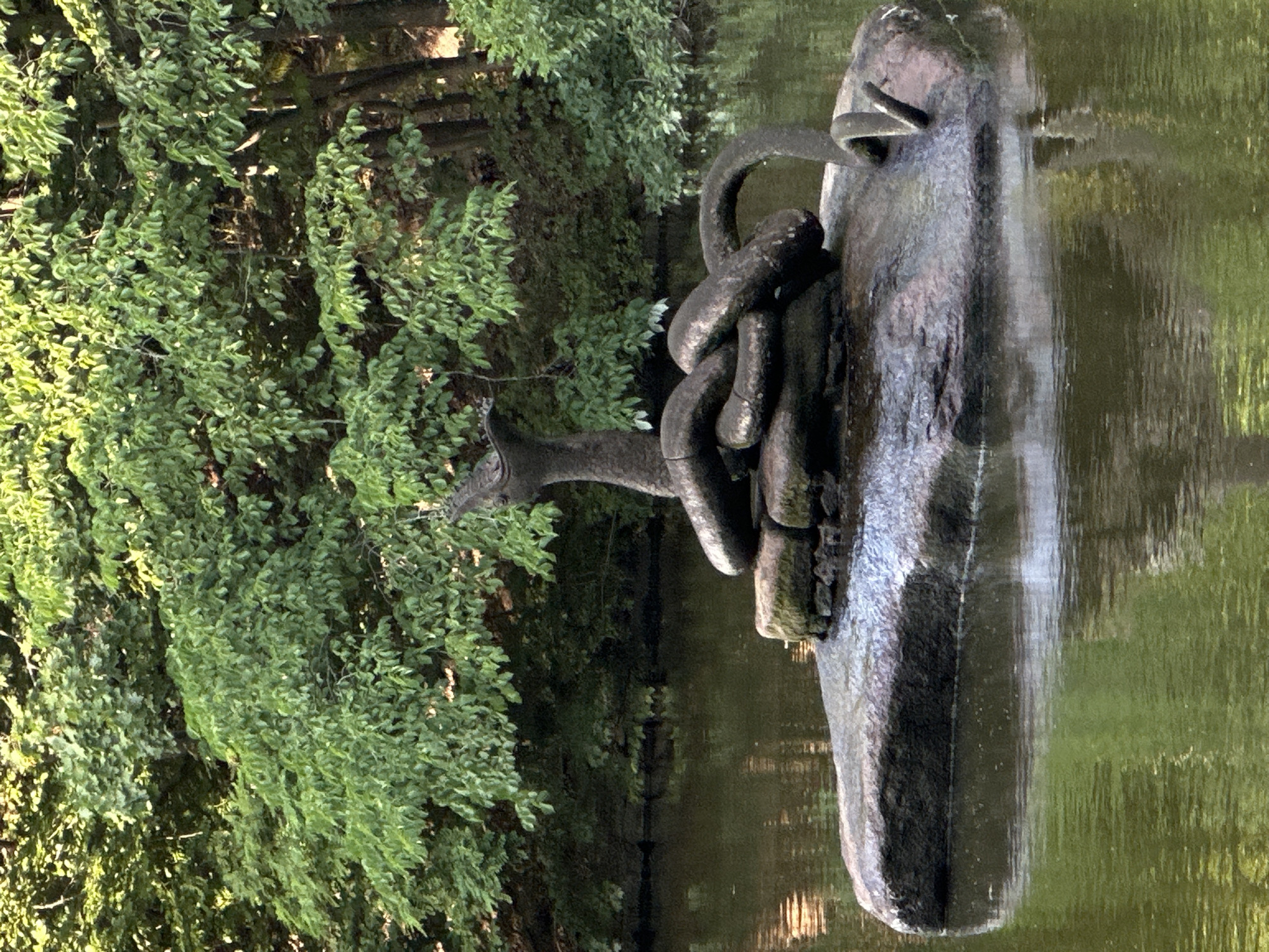This media file shows a close-up of a sculpture partially submerged in water. The sculpture appears to be made of stone or a similar material and depicts what looks like a mythological creature or a stylized animal. It is dark gray and has a rough texture. One part of the sculpture resembles a head with two small protrusions, possibly ears or horns, and a rounded snout. Another section features thick, segmented links, suggesting a chain or a serpent-like body. The sculpture is positioned on the edge of a body of water, with lush green foliage visible on the left side of the frame, suggesting a natural or park-like setting. The water is calm, reflecting the surrounding greenery and the sculpture itself, creating a slightly blurred mirrored image. The lighting suggests it is daytime, with sunlight illuminating the leaves and parts of the sculpture. No text is visible in the media file. The overall mood is somewhat serene and mysterious due to the subject matter and its reflection in the water.