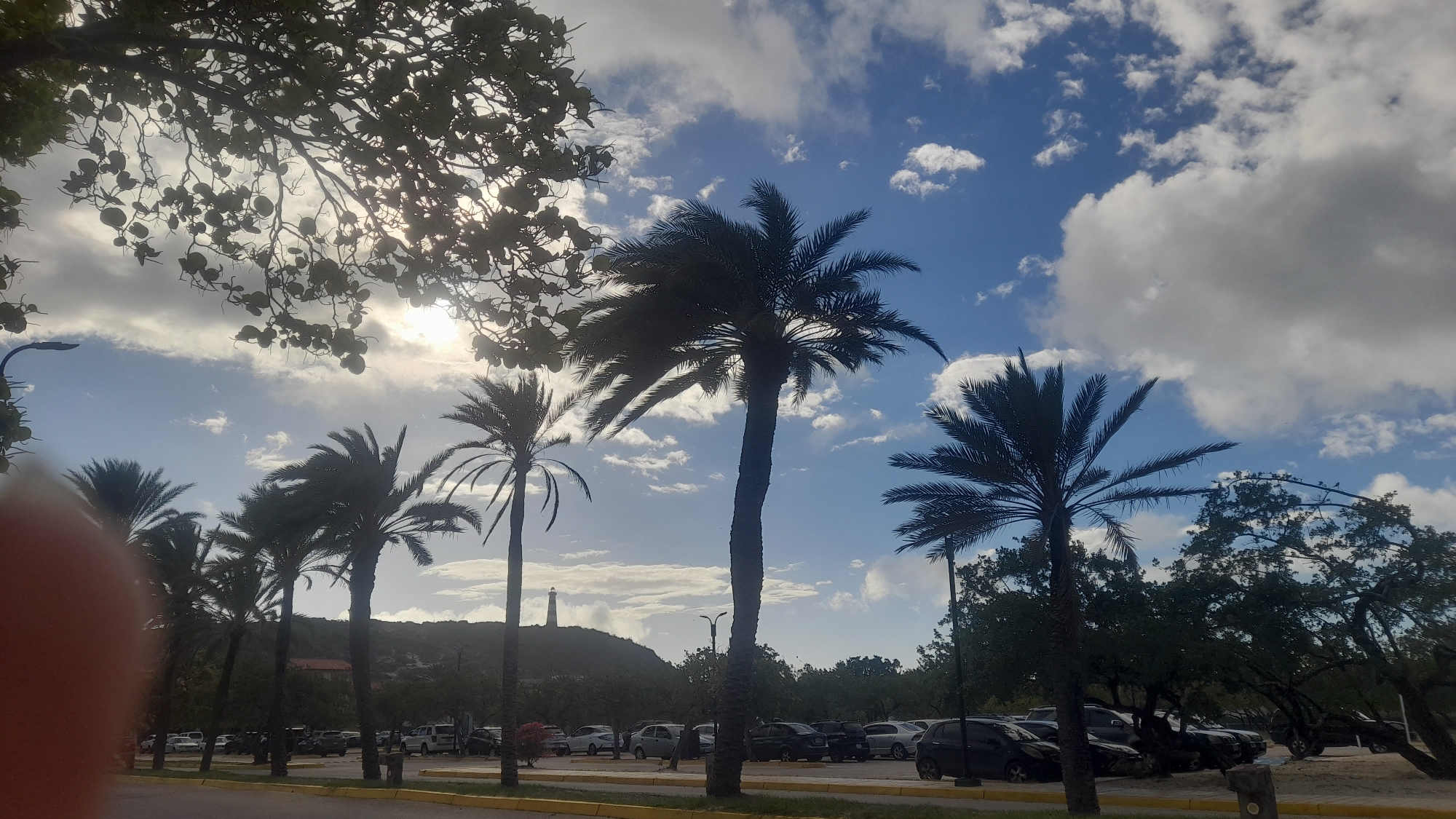 In the city of Pedro González, Venezuela, a street scene unfolds under a dynamic sky of blue with scattered white clouds. The foreground is dominated by a row of silhouetted palm trees, their fronds stark against the bright sky, with the sun partially obscured by foliage from a tree in the upper left quadrant of the image, creating a lens flare effect. A paved road runs horizontally across the bottom of the frame, with a yellow line marking its edge. Beyond the road, a parking lot is visible, filled with various parked cars, including sedans and SUVs, mostly in dark colors. The background features a hilly landscape dotted with trees, and in the distance, a lighthouse stands prominently atop a hill. The overall impression is that of a coastal or tropical environment, with a bright, partly cloudy day.