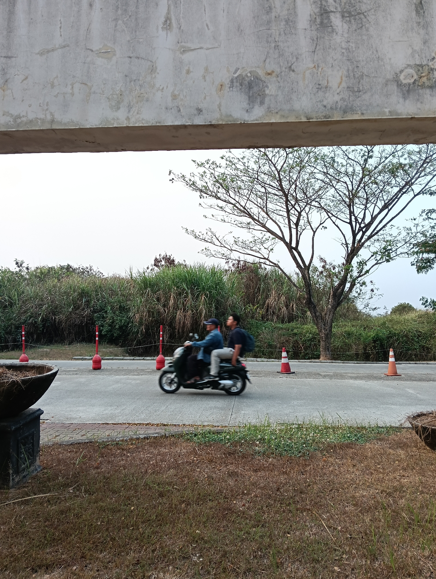 An outdoor scene depicts two individuals riding on a motorcycle on a paved road. The motorcycle is in motion, causing a blur effect. The road is bordered by a grassy area and thick vegetation. Orange traffic cones are placed along the side of the road. In the foreground, a large, dark planter is visible. Above the scene, a concrete structure partially obstructs the view of the sky and trees. The location is identified as Parung Panjang, Indonesia.