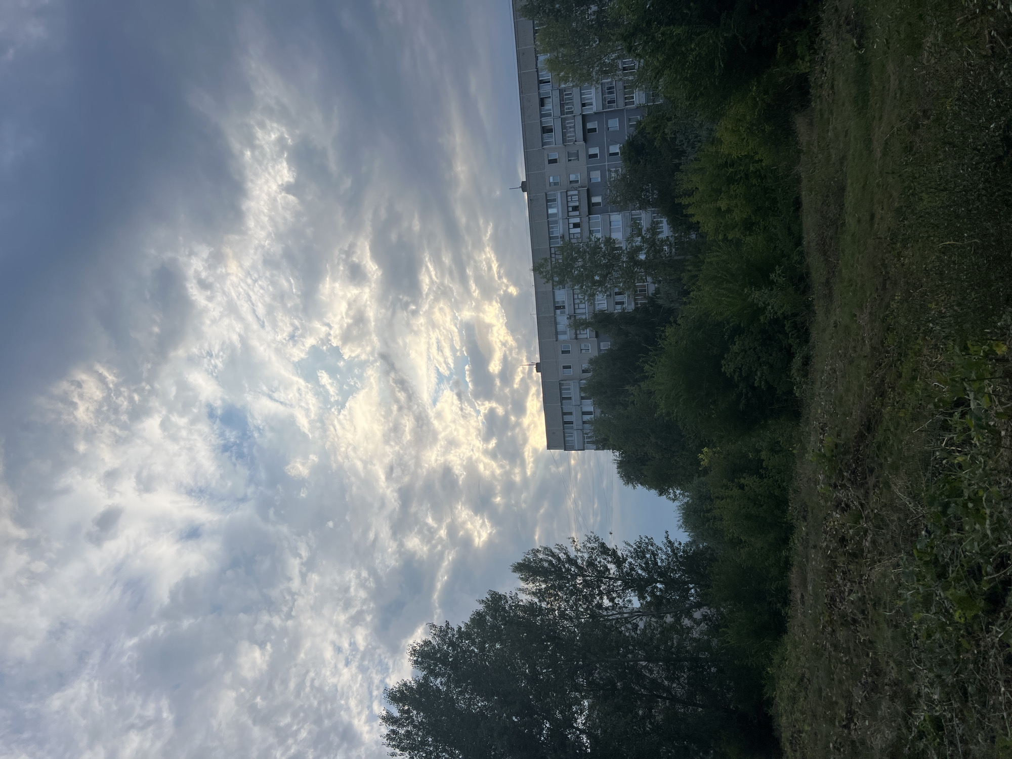A gray, multi-story apartment building stands behind a dense line of green trees, with a patch of grassy ground in the foreground. The building is long and rectangular, with numerous windows visible. The sky above is filled with dramatic, wispy clouds, with bright patches of sunlight breaking through in some areas, suggesting it might be late afternoon or early evening. The overall impression is one of an urban or suburban setting during daytime. There is no visible text in the image.