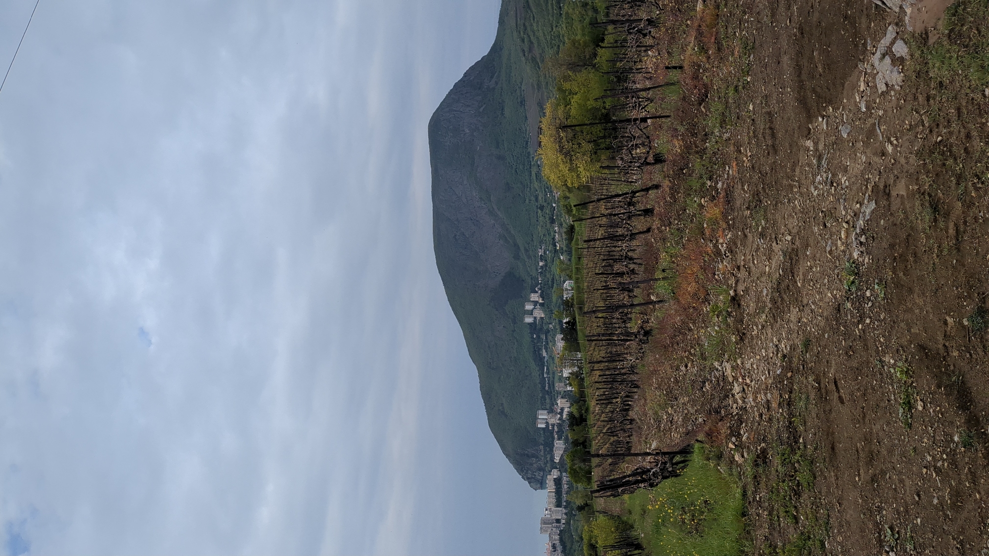 The image shows a landscape with a prominent mountain on the left side. The mountain's slope is covered in greenery and dotted with buildings, suggesting a town or village nestled on its side. To the right of the mountain, rows of vineyard trellises line the landscape, descending towards a dirt path or terrain. The sky is overcast, with a diffused light illuminating the scene. The location is not in Pushkino, Ukraine.