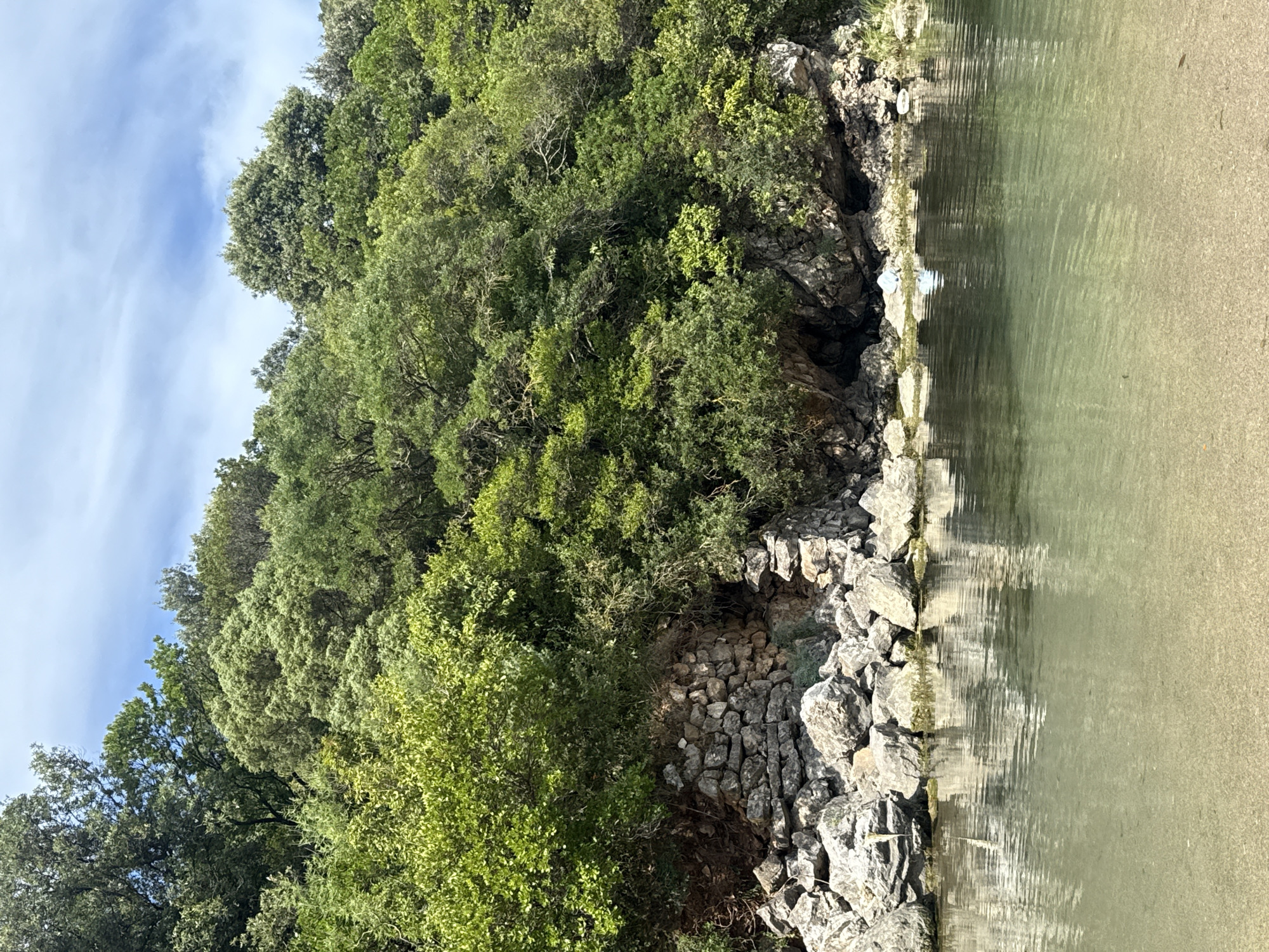 The image shows a tranquil scene on the shore of a clear, shallow body of water, likely a lake or river. The water is a pale green, reflecting the surrounding vegetation and the sky above. The sandy bottom is visible through the clear water. In the foreground, the water laps gently against a sandy shore. Behind the water, a rocky embankment rises, dotted with green foliage and trees. The trees are lush and vibrant, with a mix of broadleaf and possibly some coniferous varieties. Some of the trees are ancient, with gnarled branches and thick trunks, while others are younger and more delicate. The rocks themselves appear to be natural, weathered stone, with some sections showing evidence of human construction, perhaps a retaining wall or the remnants of an old structure. The scene is bathed in bright daylight, with the sun casting dappled shadows through the trees. The sky is a bright blue, with a few wispy white clouds. The location is Prijevor, Montenegro, known for its natural beauty and proximity to the Adriatic coast. The overall atmosphere is one of peace and serenity, a secluded spot where nature reigns supreme.