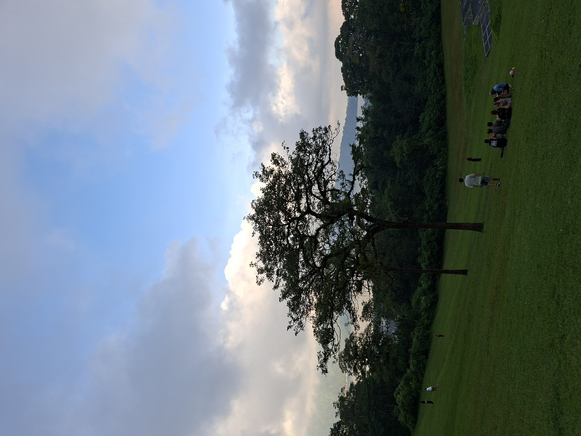 The image depicts an outdoor scene in Baturiti, Indonesia. A large tree with dark foliage stands prominently in the foreground. Beyond the tree, a lush green field slopes upward. Several people are gathered on the field, some sitting in a group and others standing or walking. A line of what appears to be solar panels is visible along the upper edge of the field. The background features a dense forest. The sky is filled with clouds, ranging from light blue to gray, suggesting either dawn or dusk.