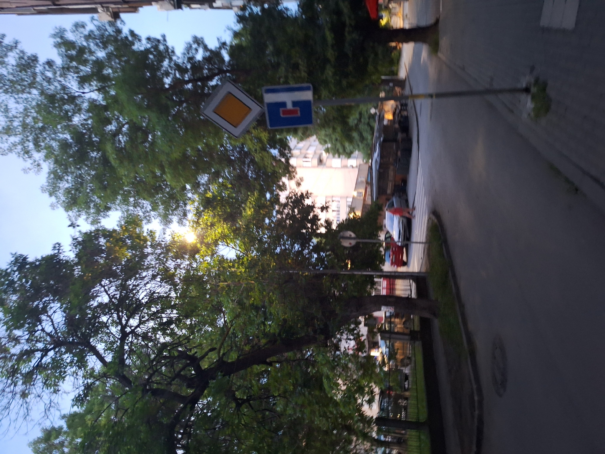 This image depicts an outdoor scene, likely in an urban environment. On the left, there is a street with parked cars and a pedestrian crossing. Several trees with green foliage are prominent, casting shadows. A building with multiple floors is visible in the background, behind the trees. On the right side of the image, a street sign pole holds two signs: an upper diamond-shaped sign with a yellow interior and a white border, and a lower rectangular sign with a blue background and a white "H" shape with red detailing. A sidewalk runs along the right side of the street. The overall lighting suggests it is either early morning or late evening. The location has been identified as Varna, Bulgaria.