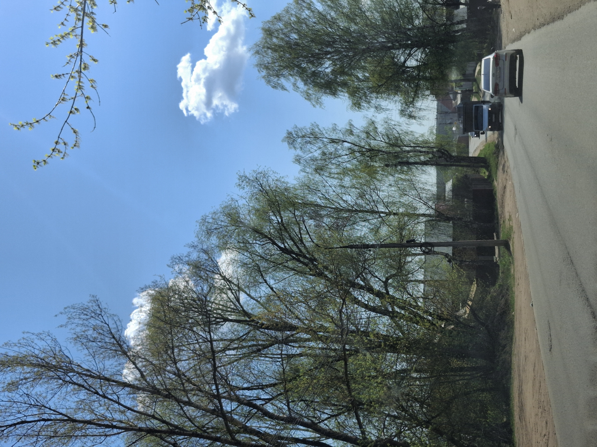 The image depicts a roadside scene in what appears to be a suburban or rural area, potentially in Chaikovsky, Russia, though specific landmarks are not discernible from the image. The view is from a moving vehicle on an asphalt road. A white passenger car and a dark truck are traveling in the same direction. A row of trees lines the road, their branches reaching towards the sky, which is partly cloudy. Utility poles and wires are also visible amongst the trees. The overall impression is that of a typical road scene in a setting with vegetation.