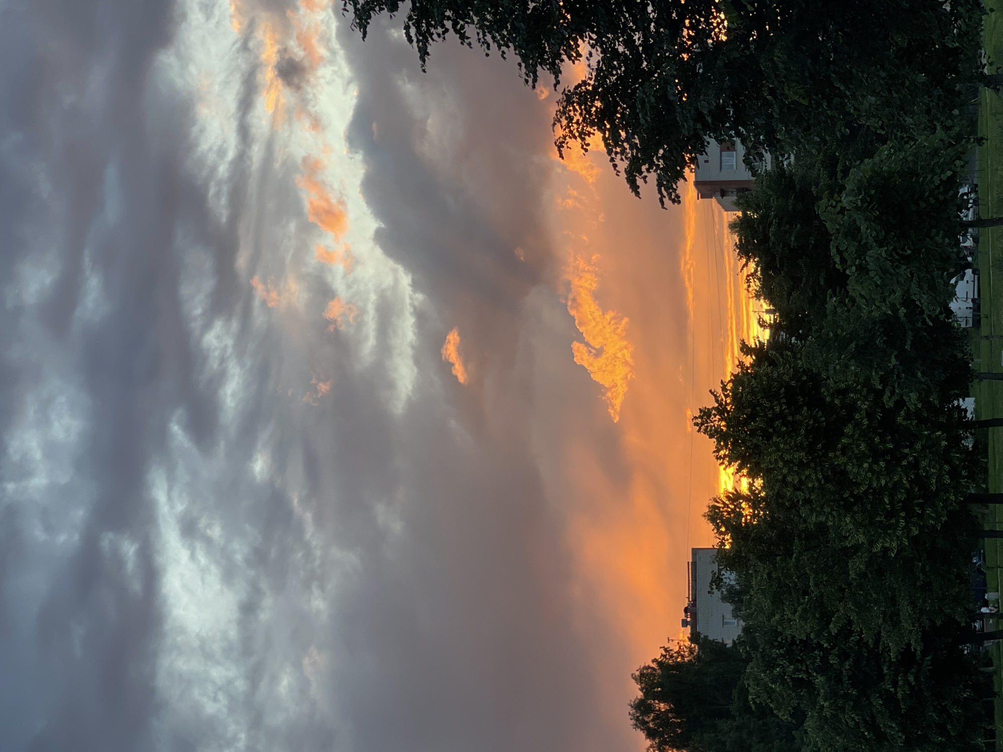The image captures a dramatic sunset over a cityscape. The sky is filled with a mix of dark, brooding clouds and vibrant streaks of orange and yellow light, indicative of the sun's low position. In the foreground, lush green trees form a dense canopy, partially obscuring buildings. Several multi-story buildings, some with visible windows and balconies, are visible behind the trees, suggesting an urban or suburban environment. The lighting is dramatic, with the warm hues of the sunset contrasting with the darker tones of the trees and the overcast sky. The scene appears to be taken from a slightly elevated vantage point, looking towards the horizon. The overall impression is one of a picturesque and somewhat moody twilight.