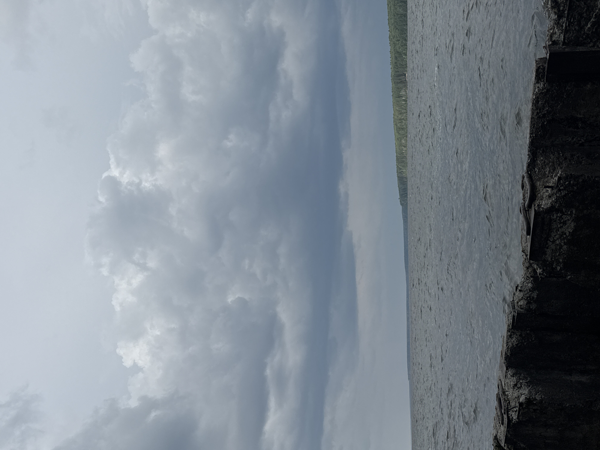 The image shows a body of water, likely a reservoir or river, under a cloudy sky. In the foreground, a weathered concrete structure, possibly part of a pier or embankment, is visible. The water is choppy, with small waves. In the background, a distant shoreline is lined with a dense forest of green trees. The overall scene suggests a natural landscape on an overcast day. The city of Chaikovsky is known for its location on the Kama River, which forms the Votkinsk Reservoir, making this scene consistent with the geography of the area.