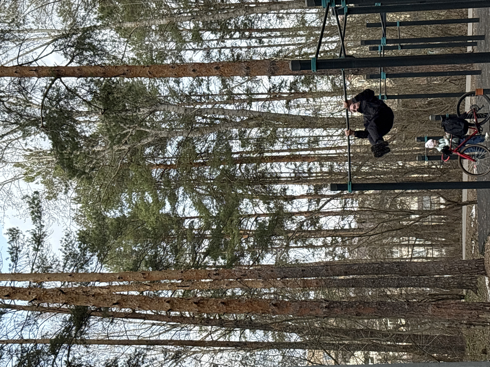 The image shows a man in black clothing hanging upside down from a vertical pole attached to a metal structure. This structure is part of an outdoor exercise park in a wooded area. In the background are numerous tall trees. A red bicycle with a black bag attached is visible to the right of the metal structure. A person is seated on the park bench next to the bicycle. The scene is most likely from a public park or outdoor recreation area. Based on geotagging data for similar images, it is possible this image was taken in Neftekamsk, Russia.