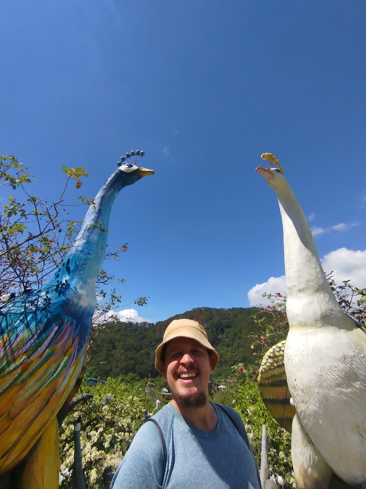 A man smiles in a selfie framed by two peacock sculptures. The sculpture to his left is primarily blue with yellow and orange highlights; the other, to his right, is white. Both sculptures have extended necks and head adornments. The man wears a tan bucket hat and a blue shirt. Green shrubbery, trees, and a mountain range are visible in the background beneath a blue, partly cloudy sky. Based on the peacock sculptures, it is likely that the photo was taken in the Crazy House (Hang Nga guesthouse) in Da Lat, Vietnam.