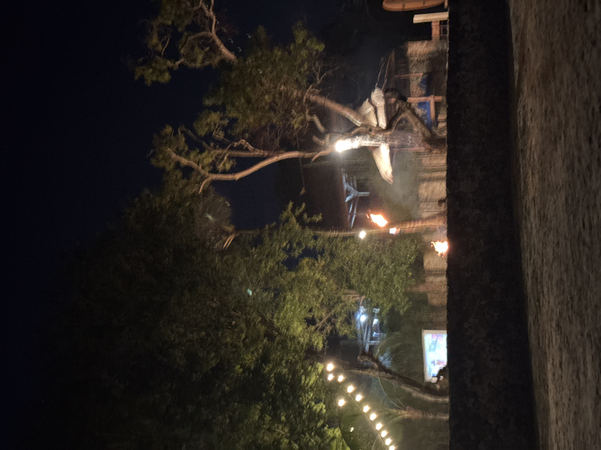 The image, taken at night, shows a tropical outdoor scene in Kuta Selatan, Indonesia. Dense foliage, including tall trees with exposed branches, occupies much of the frame. A string of lights is visible at the bottom of the image, adding to the ambiance. A Tiki bar and torches are seen. The location seems to be a restaurant or a party zone. The right side of the frame is obstructed by a dark, textured wall, likely part of a building. The overall atmosphere suggests an outdoor tropical evening setting.