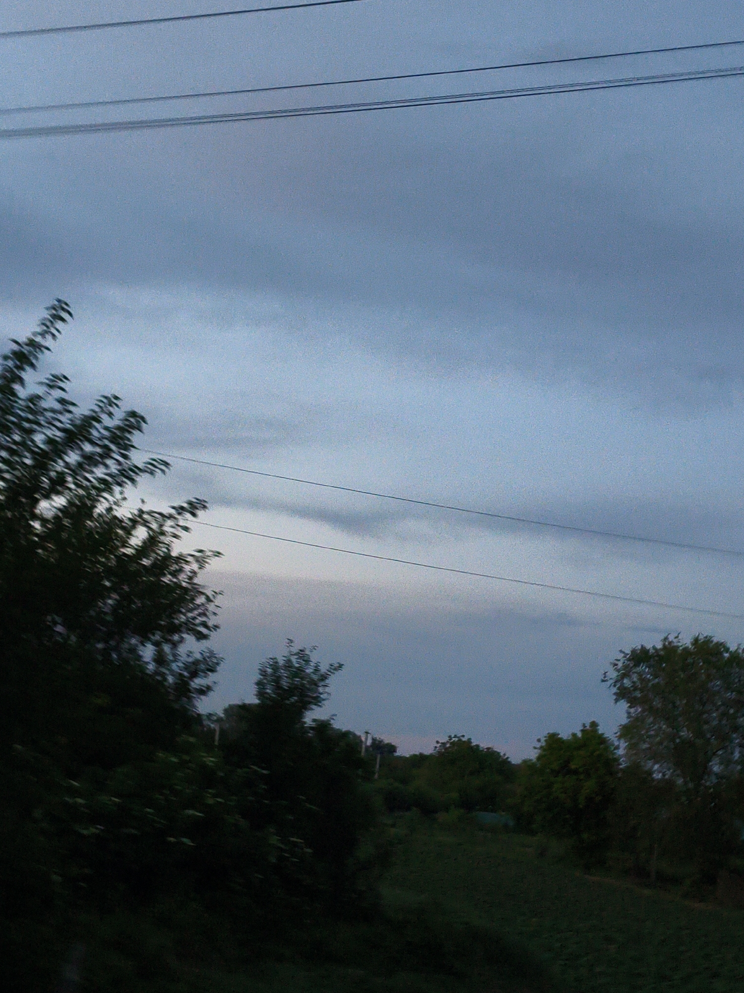 The image depicts a rural landscape at dusk, likely in Ustyvytsia, Ukraine, characterized by a darkening sky with wispy clouds. Several power lines are visible horizontally across the upper portion of the frame. The foreground is dominated by dense, dark foliage, with trees on the left side of the image appearing blurred, suggesting movement, possibly from a vehicle. A field of grass or crops is visible in the lower right, with some trees scattered throughout the middle ground. The overall lighting suggests either dawn or twilight. There are no people or discernible structures, other than the power lines and a hint of distant poles.