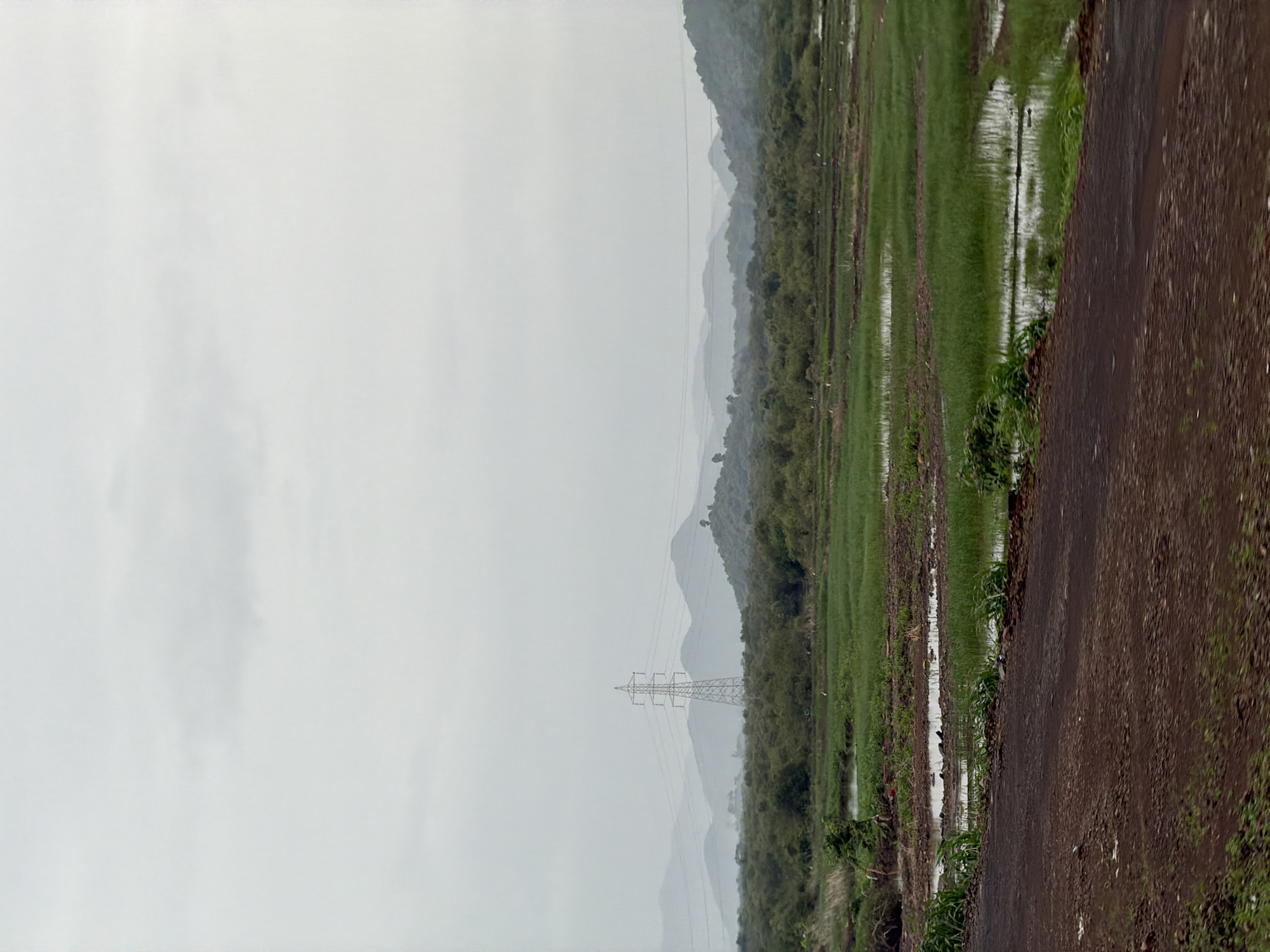 An overcast sky looms above a verdant landscape, possibly a rural area or agricultural land, near Saphale, India. In the mid-ground, a tall, lattice-like electrical tower stands prominently, surrounded by lush green vegetation and distant, hazy mountains. The foreground is dominated by a dark, unpaved road. The fields appear to be flooded or have standing water, reflecting the muted sky and green foliage. The overall impression is one of a damp, possibly post-rainy season environment, with human infrastructure, like the power line, intersecting with the natural scenery. There are no visible people in the frame, but the presence of the electrical tower suggests human activity in the vicinity.