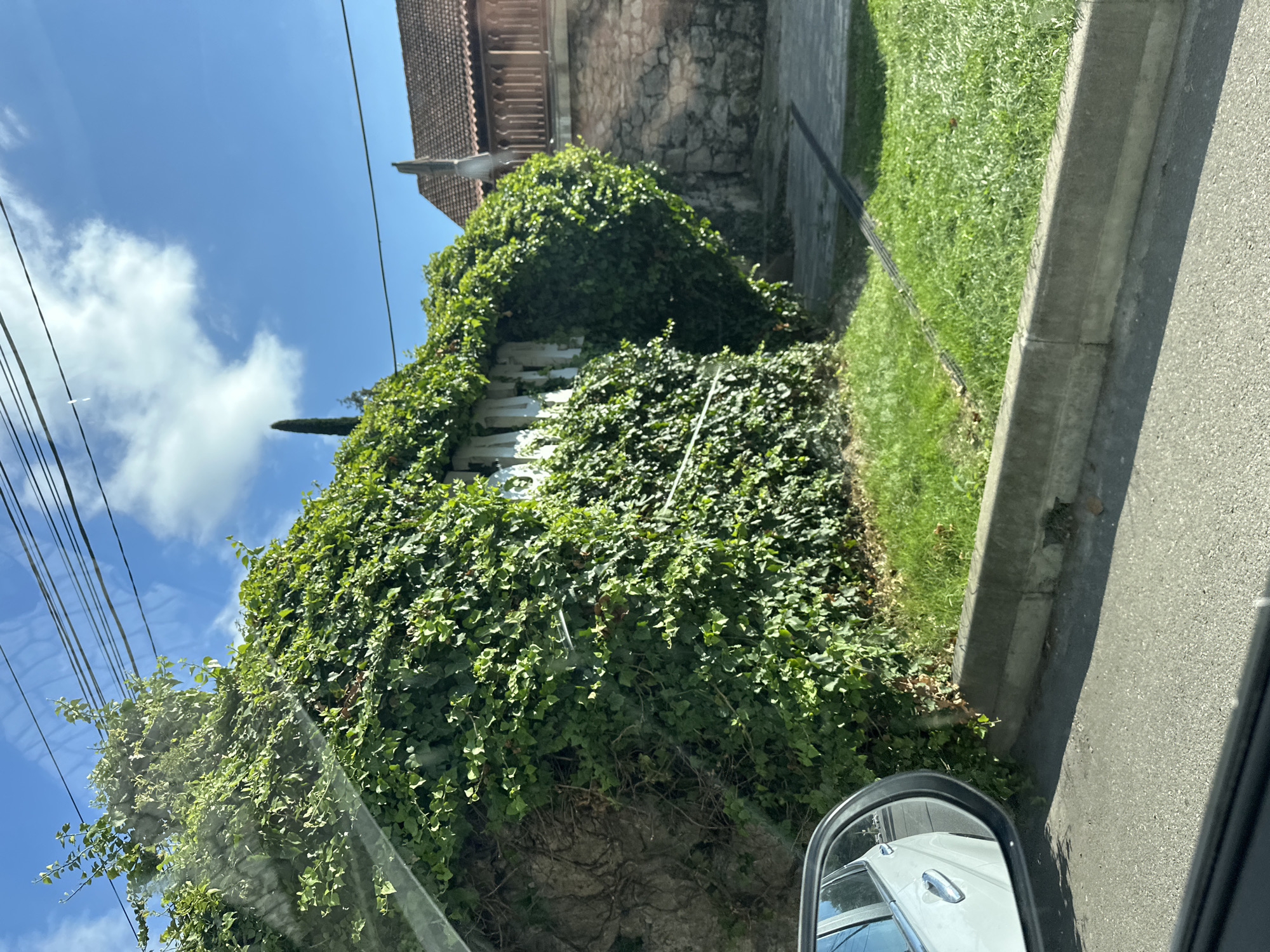 A white car, seen through a side mirror, is parked on the left side of the frame on an asphalt road. In front of the car, a concrete curb separates the road from a grassy area. Beyond the grass, a stone wall covered in dense green ivy stretches across the frame. White letters, partially obscured by the ivy, are mounted on the wall. The sky above is blue with scattered white clouds. In the background, a building with a red tiled roof and wooden railings is visible, as is a tall, dark, slender tree. The overall scene suggests a residential or commercial area on a sunny day.