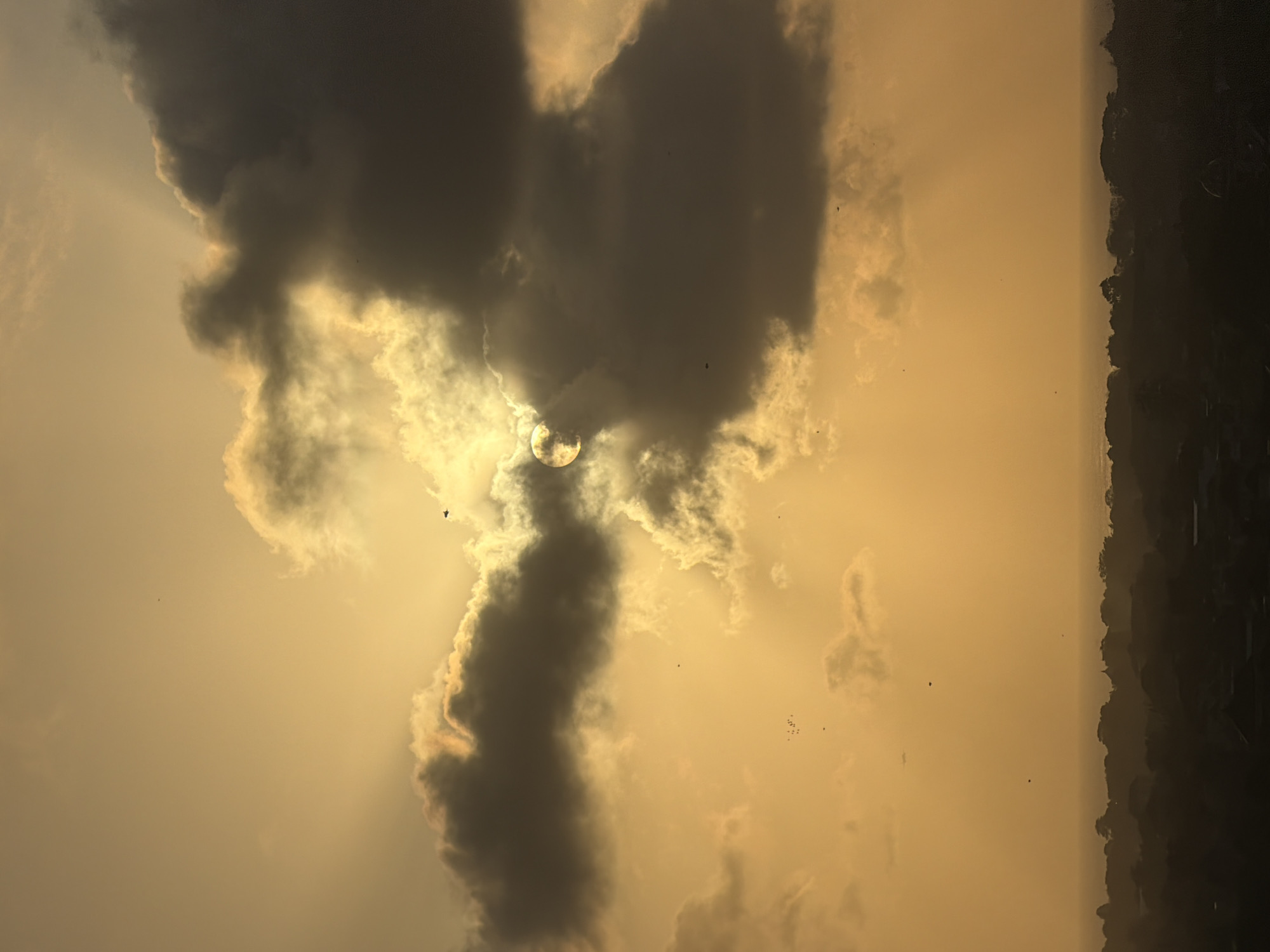The image depicts a sunset over Kuta Selatan, Indonesia. The sun is partially obscured by dark, heavy clouds, casting dramatic rays of light through the sky. Scattered birds are visible in the sky. Below the sky, a silhouette of a coastline with trees and buildings is visible, suggesting a populated area. The overall lighting is warm and golden, characteristic of a sunset.