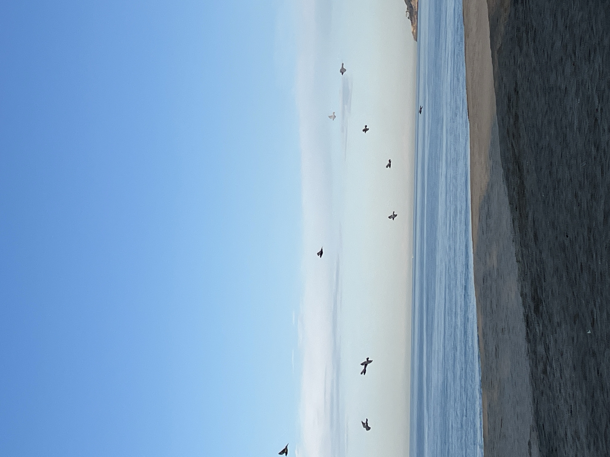 The image displays a coastal scene in Alanya, Turkey. The foreground consists of a wide, dark grey sandy beach. The midground features a calm, blue sea with subtle wave patterns. On the distant sea horizon, a small white vessel or marker is faintly visible to the left of center. The background is dominated by a clear blue sky, with a band of wispy white clouds stretching horizontally across the middle. Ten dark-silhouetted birds are captured in various stages of flight, scattered across the sky, primarily above the sea. On the far right horizon, a low-lying, vegetated landmass, consistent with a peninsula or headland, is visible. No human subjects or their direct interactions are present.