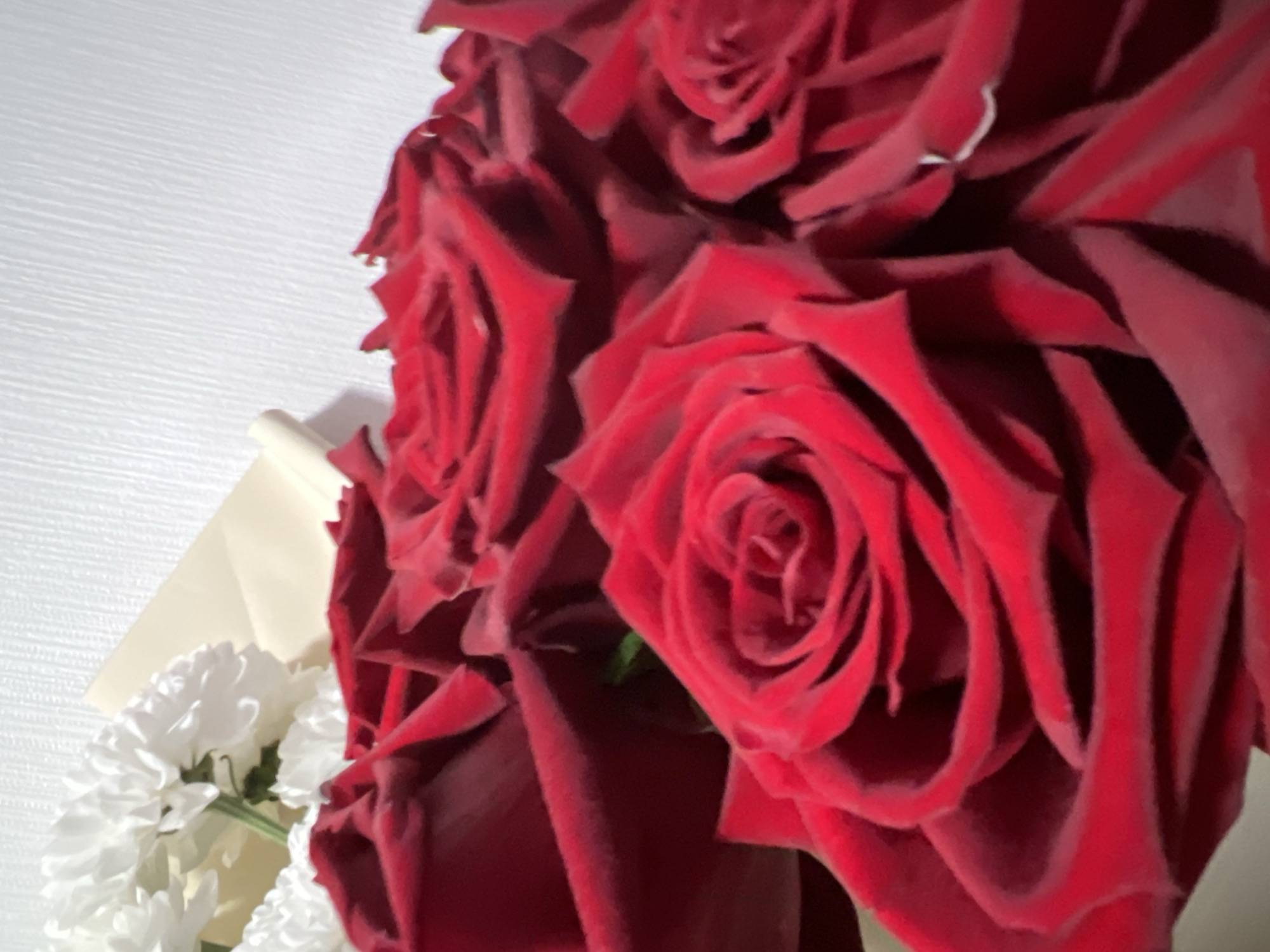 A close-up, low-angle shot captures a bouquet of red roses and white chrysanthemums against a textured white wall. The roses are deep red with velvety petals, and some are fully bloomed, revealing intricate swirling patterns at their centers. White chrysanthemums, with their delicate, layered petals, are visible in the upper left corner, partially obscured by the roses and a cream-colored wrapping. The bouquet appears to be in a domestic setting, likely indoors, with soft lighting that accentuates the rich colors and textures of the flowers. There is no discernible location within Yekaterinburg, Russia, that can be identified from the image itself; it is a generic indoor floral arrangement.
