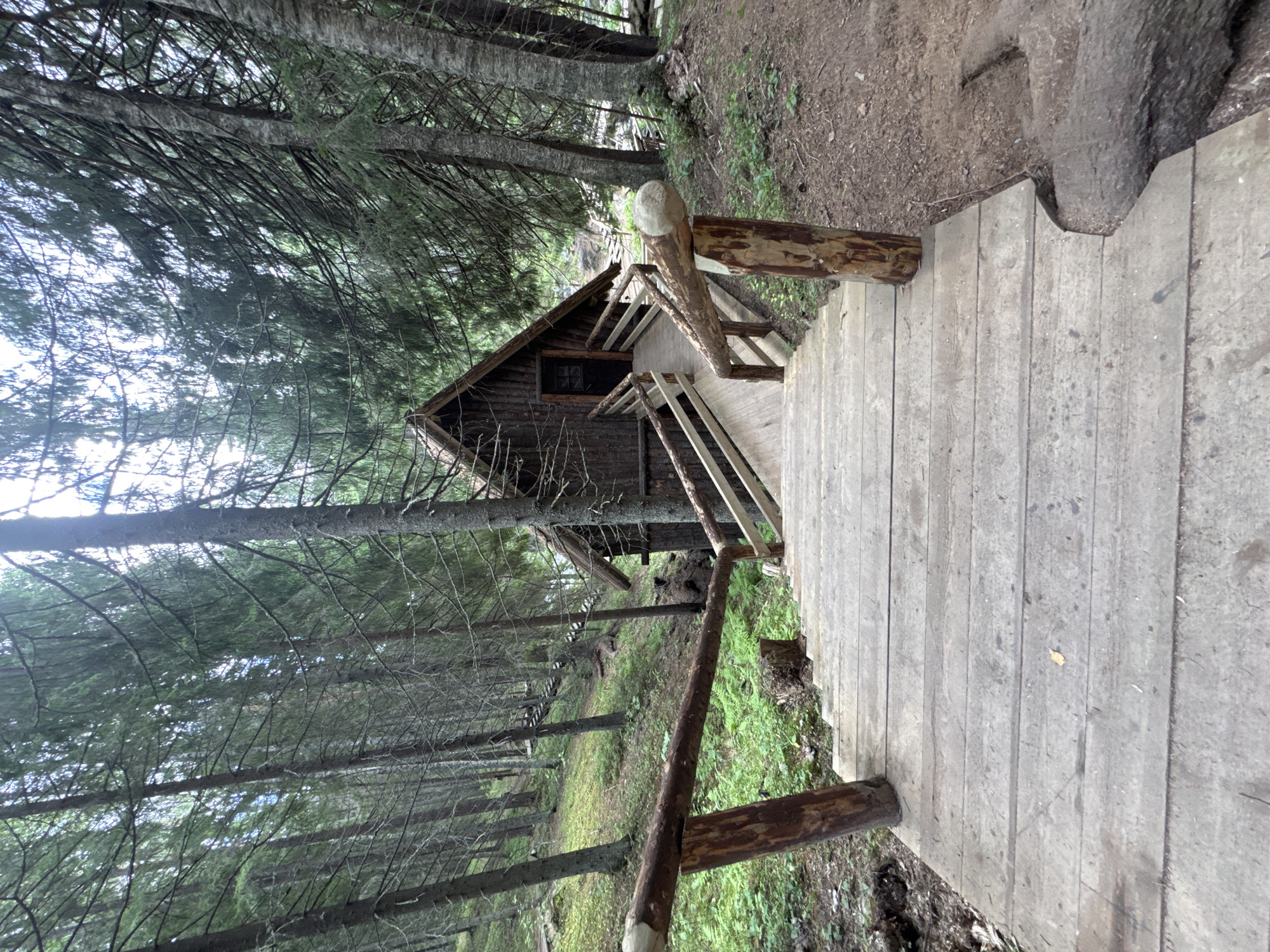 A wooden staircase descends from the foreground towards a rustic wooden cabin nestled among tall evergreen trees. The cabin has a steeply pitched roof and a dark doorway. The staircase and a surrounding wooden railing are constructed from rough-hewn logs and planks, suggesting a natural, possibly remote setting. The ground beside the path is covered in green foliage and dark soil, indicative of a forest environment. The scene appears to be located in a wooded area outside of Khankanmyaki, Russia, characterized by dense conifer trees and a rustic, untouched aesthetic. There are no people visible in the image.