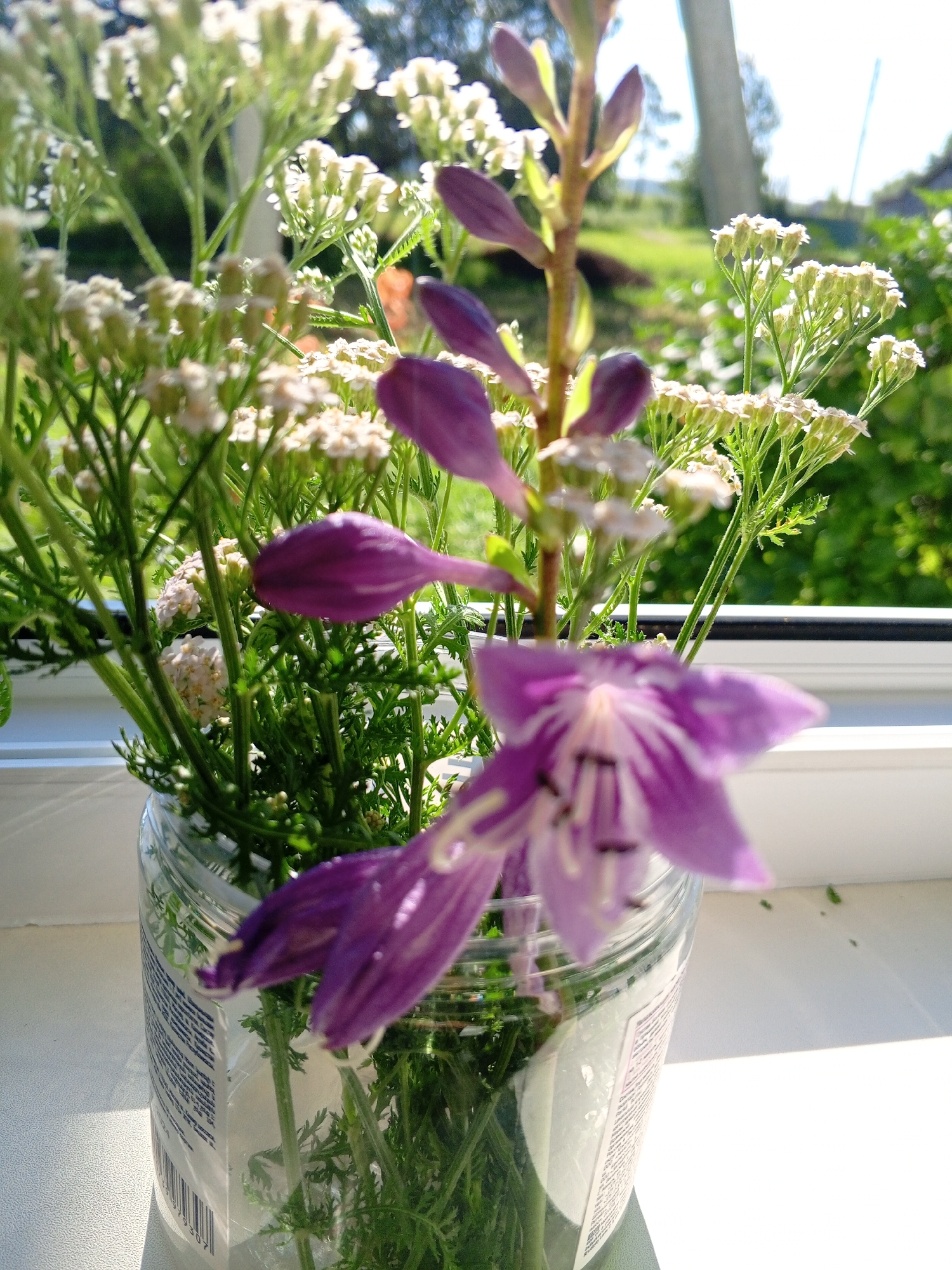 A shallow depth of field photograph captures a bouquet of wildflowers and greenery in a clear plastic vase. The vase is positioned on a white windowsill, with sunlight casting shadows. The background is a blurred landscape of green foliage and trees. The flowers in the foreground are predominantly purple and white, with delicate petals and intricate stems. The overall impression is one of natural beauty and serenity.