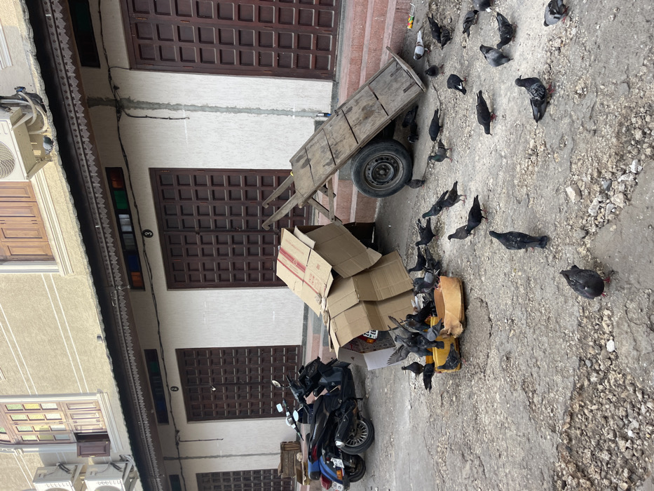 An alleyway scene features pigeons congregating near a yellow container, possibly for food. A scooter is parked nearby, and cardboard boxes are stacked adjacent to it. A wooden cart with a single wheel rests further away. Brown, paneled doors are set within a beige building. The alley floor is grey and has a broken concrete look, while the sky appears overcast.