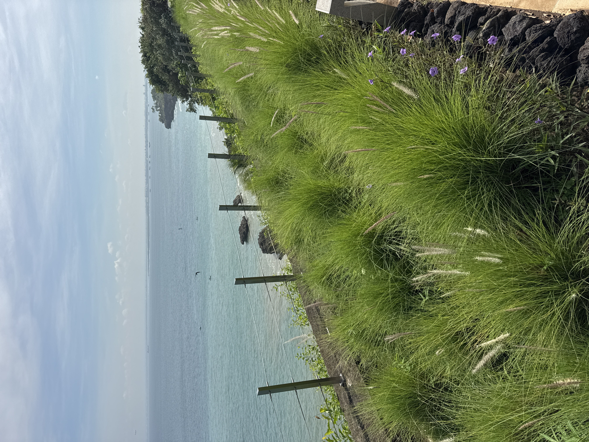 The image captures a coastal scene in Kuta Selatan, Indonesia. The ocean, displaying turquoise hues, stretches towards the horizon, meeting a sky with scattered clouds. Along the shoreline, a grassy embankment is visible, interspersed with flowering plants. A simple fence runs along the edge of the embankment, separating the land from the cliff's edge above the water. The photograph is taken from an elevated position, providing a panoramic view of the seascape and the coastline.