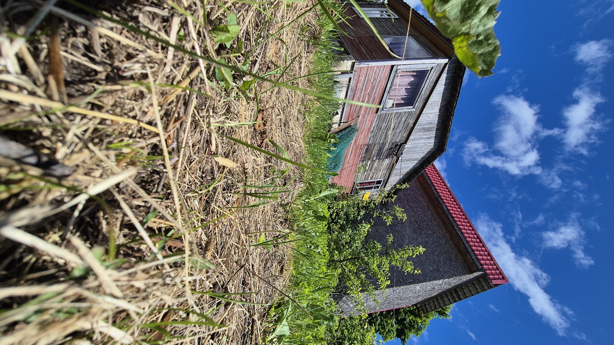 The image depicts a low-angle view of two structures situated in a rural setting, likely a backyard or a field, under a bright blue sky with scattered white clouds. In the foreground, dry grass and twigs litter the ground, with some green shoots emerging.
To the left, a weathered wooden house with red lower siding and gray, aged wooden planks on the upper section is visible. It has a single window with pink curtains and a pitched roof. Next to it, to the right, is a larger structure with a prominent red-tiled roof and walls made of gray composite material. Lush green foliage, including trees and bushes, surrounds the structures and rises from the ground. A green net or mesh is partially visible near the base of the wooden house.
The overall impression is one of a simple, possibly rural dwelling in an outdoor environment. The sky suggests a sunny day. The location is identified as Mashezero, Russia. No people are present in the image, and no specific actions or interactions are depicted. The scene is static and appears to capture a moment in time.