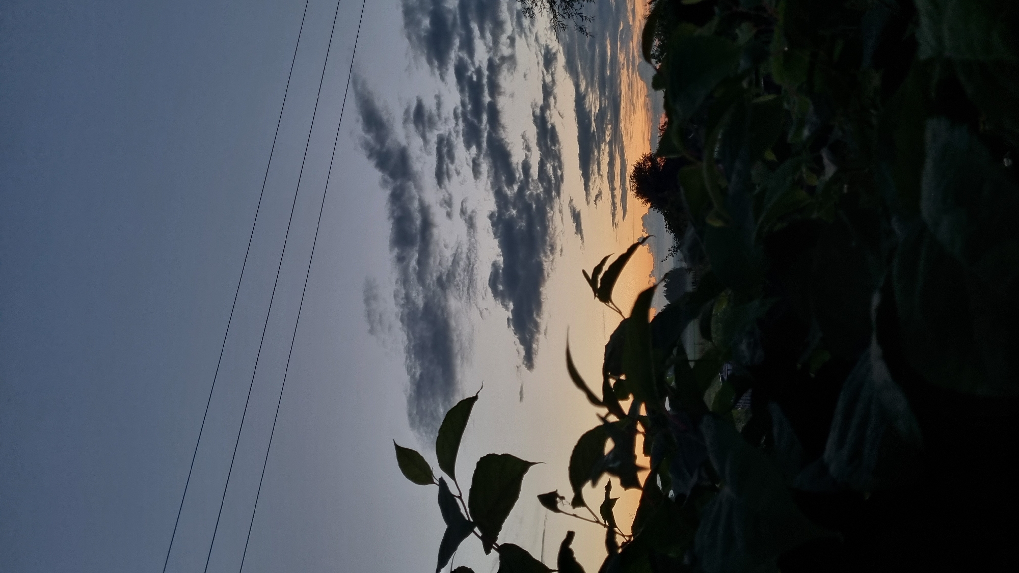 The image captures a dusky sky above the city of Vysokoe, Russia, with a silhouette of foliage in the foreground. Three parallel power lines traverse the upper portion of the frame against a gradient of twilight hues, ranging from deep blue at the top to a pale orange near the horizon. Scattered, dark grey clouds are visible against the lighter sky. The lower half of the image is dominated by the dark silhouettes of large leaves and branches, suggesting they belong to bushes or trees. In the background, beneath the horizon, there are faint outlines of trees and a possible structure, hinting at a rural or semi-rural setting. The overall lighting indicates it is either dusk or dawn.