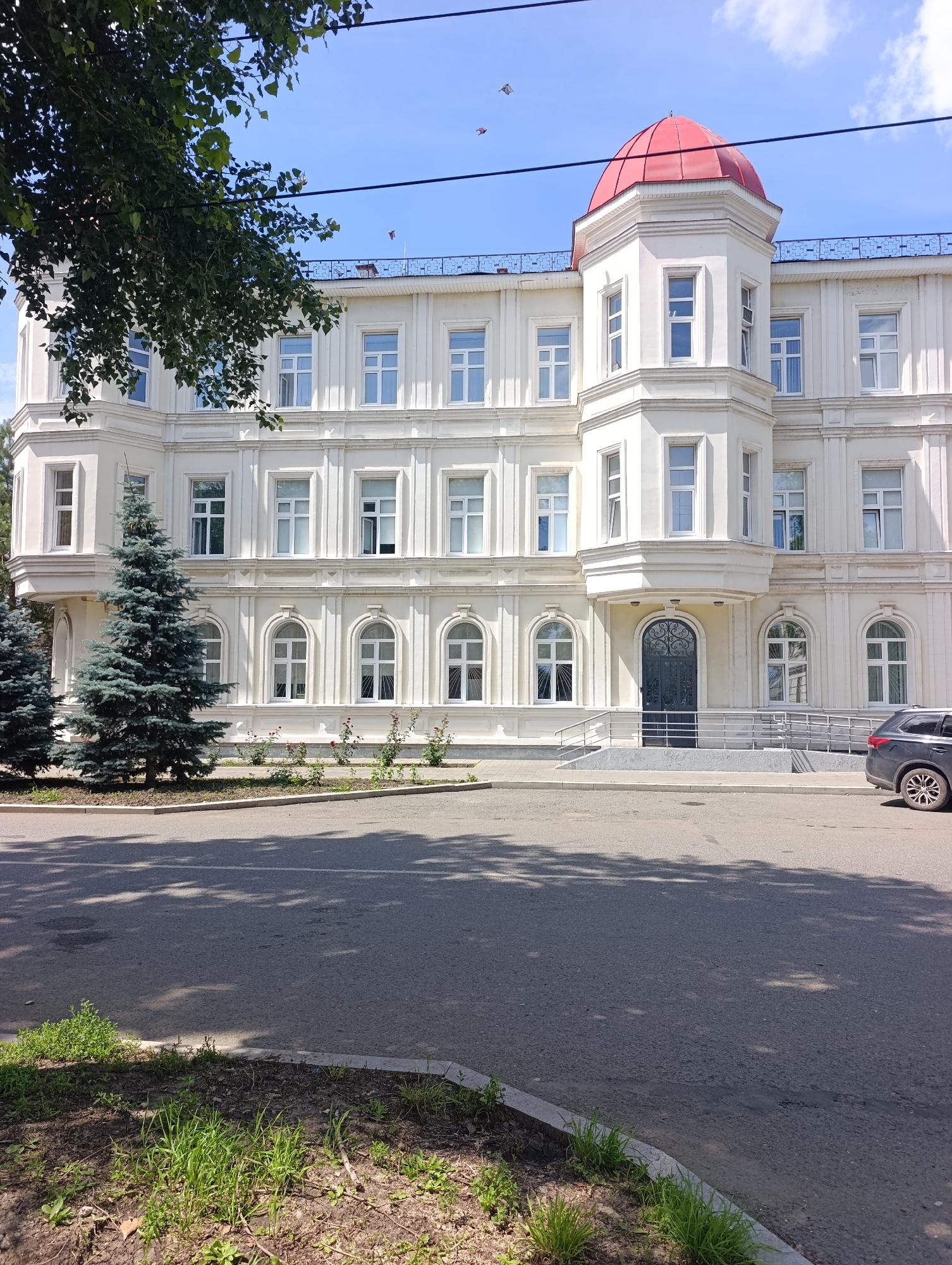 This is a full exterior, eye-level shot of a white, ornate, multi-story building in Orenburg, Russia, on a clear, sunny day. The building has a prominent red domed turret and numerous white-framed windows. In the foreground, to the left of the building, are two tall, blue-green fir trees and to the right is a dark SUV parked on the asphalt road. A tree branch with green leaves hangs from the upper left corner of the frame, obscuring some of the building and the sky. The road in front of the building is grey asphalt, and there is a patch of grass and soil along the curb on the left side. The building appears to be in good condition and is likely a public building or institution.