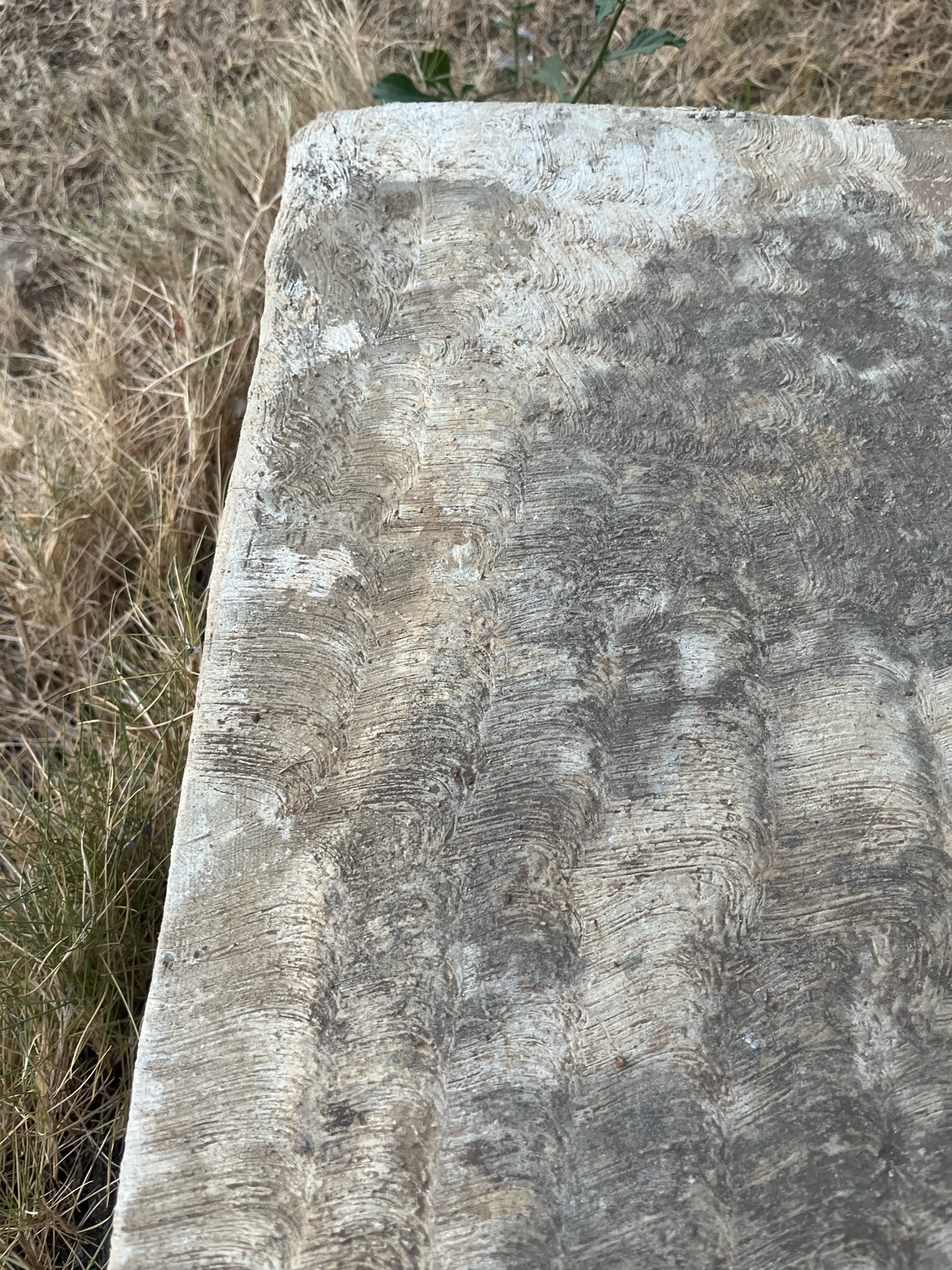 The image displays a close-up view of a weathered concrete slab lying on dry, brown grass. The concrete surface exhibits distinct, wave-like textural patterns, with areas of lighter and darker gray coloration suggesting age and exposure to the elements. The slab is positioned at an angle, with its left edge partially obscured by the vegetation. The background consists of an out-of-focus expanse of dry grass, with a hint of green foliage visible in the upper right corner. The scene appears to be outdoors, likely in a natural or unkempt area, but there is no specific indication of the city of Kebumen, Indonesia within the visual information provided.